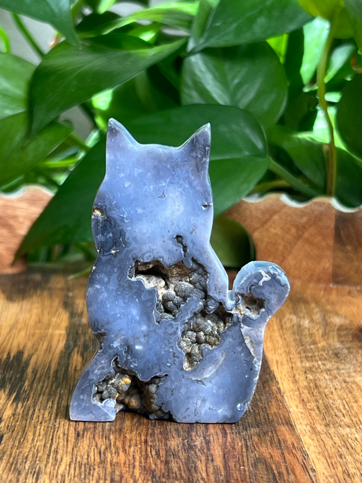 Blue Plume Agate Cat: BC