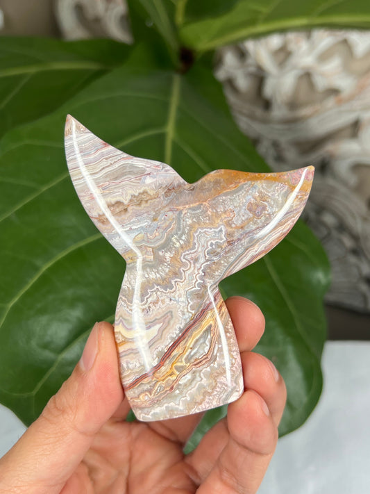 Crazy Lace Agate Tail
