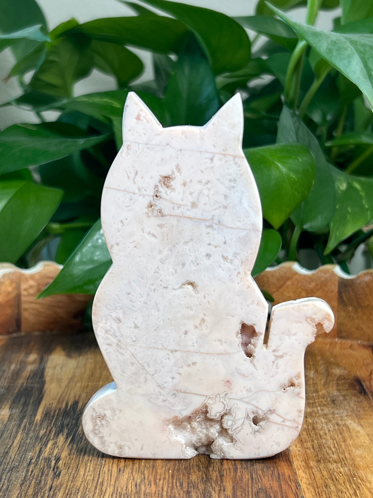 Pink Carnelian Cat: QS