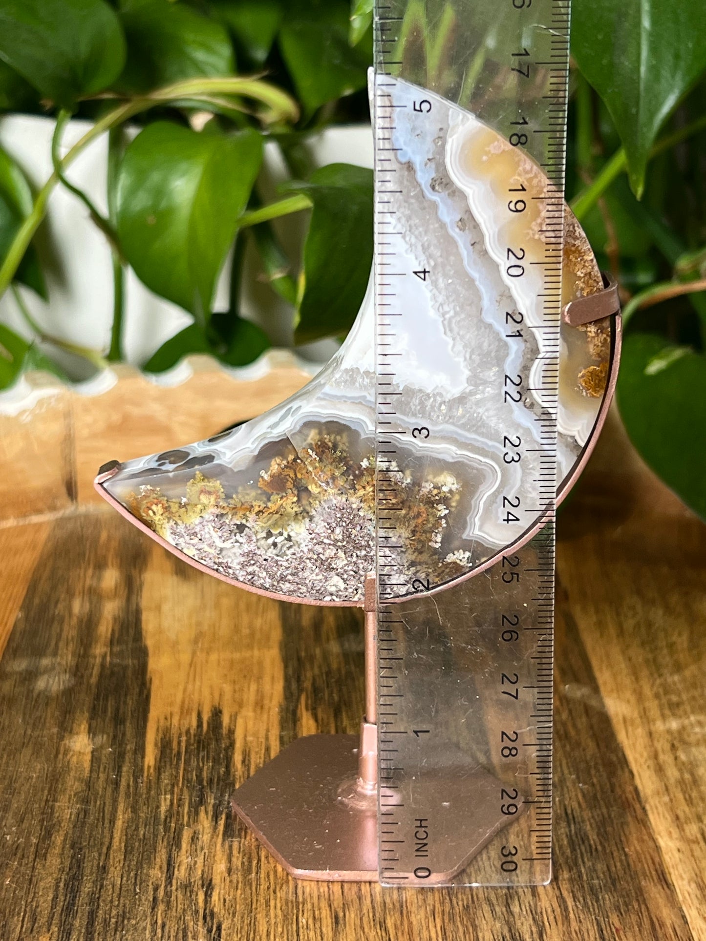 Scenic Moss Agate Moon
