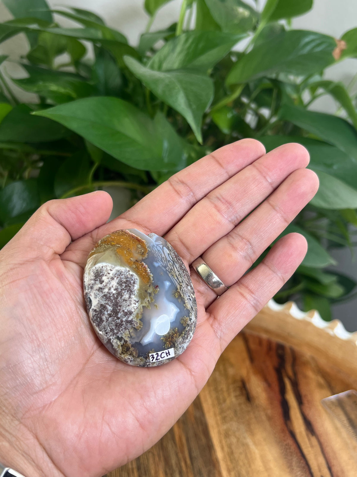 Scenic Moss Agate Palmstone: CH