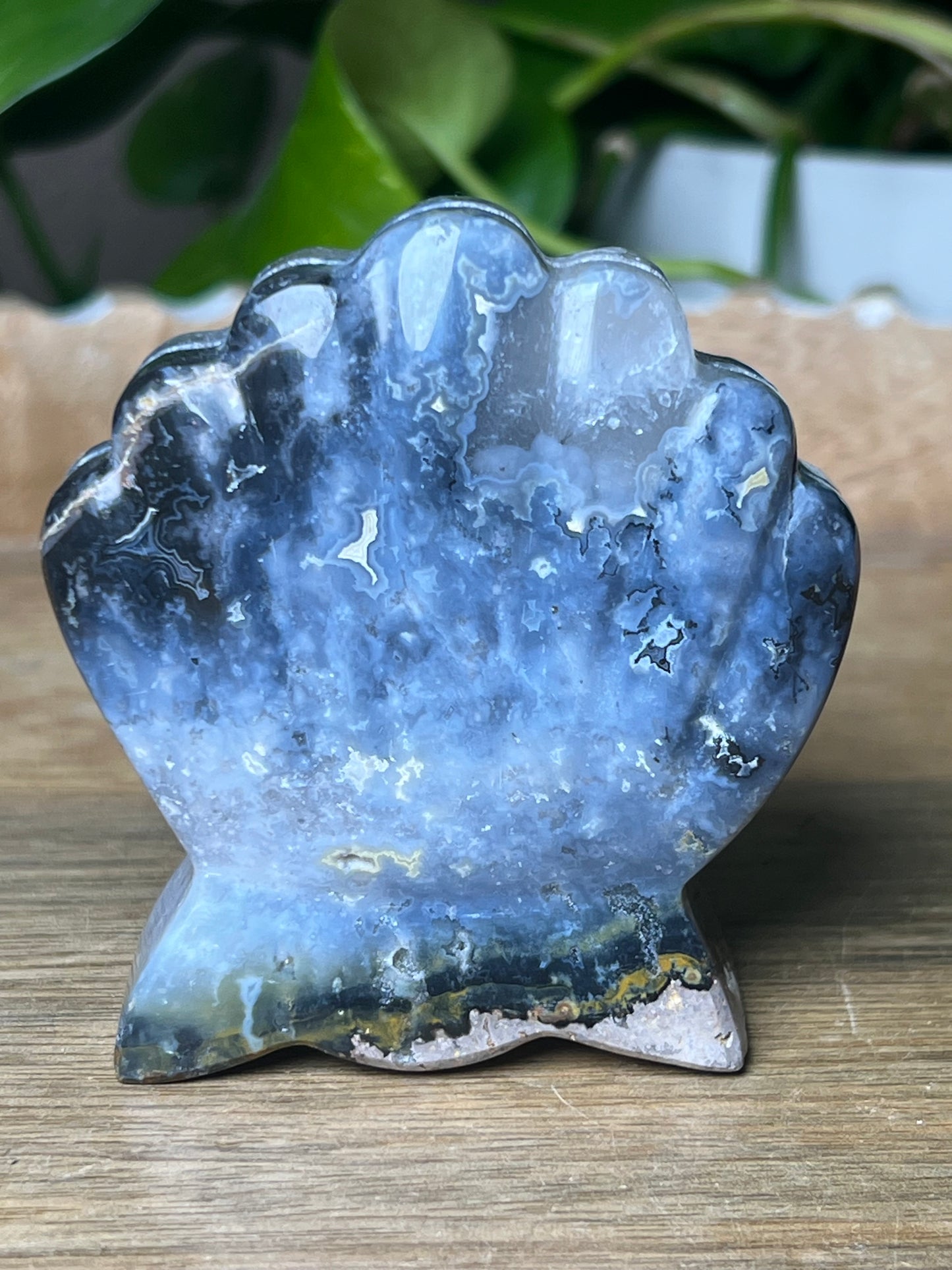 Blue Plume Agate Shell