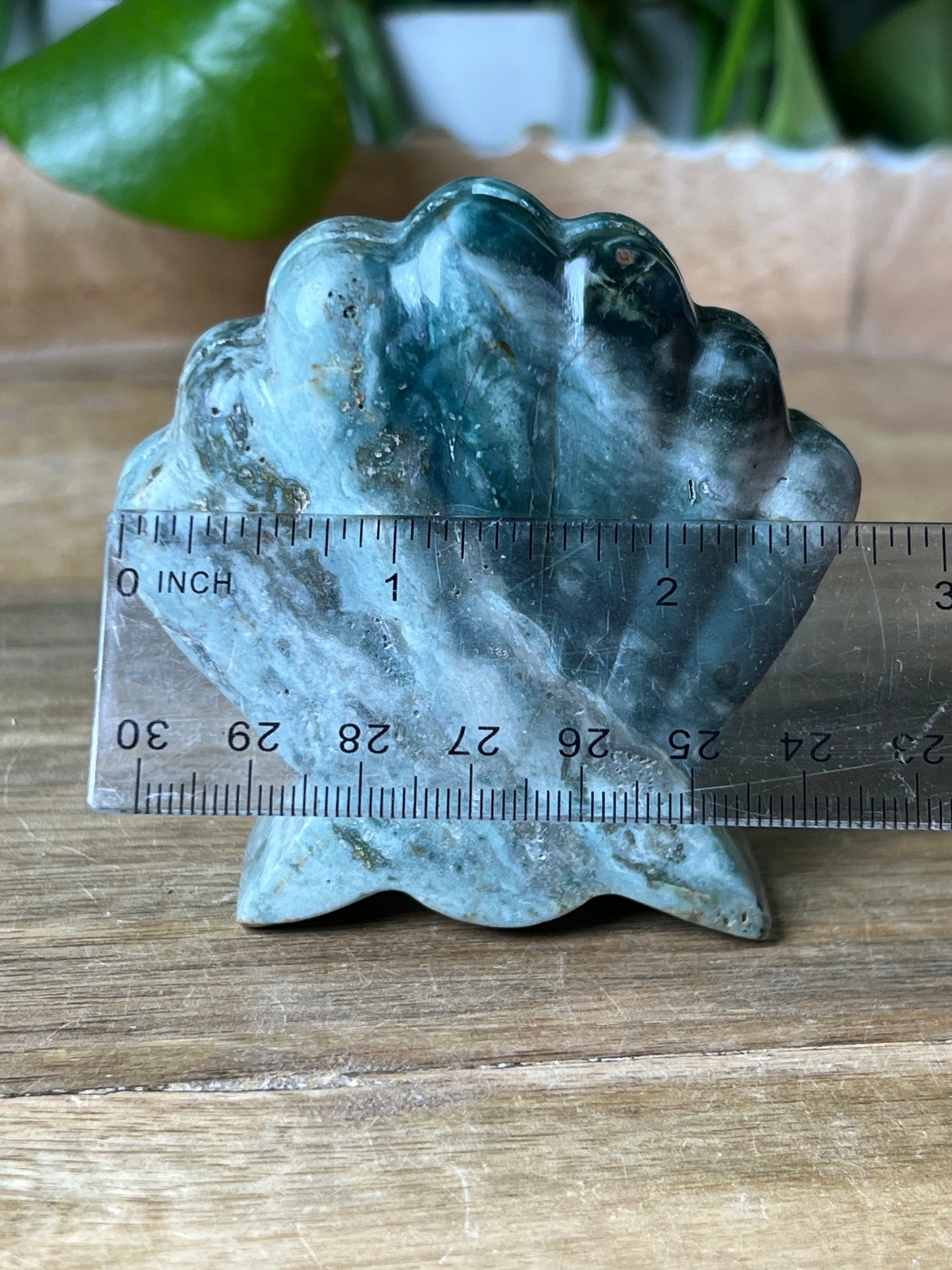 Blue Green Jasper Shell