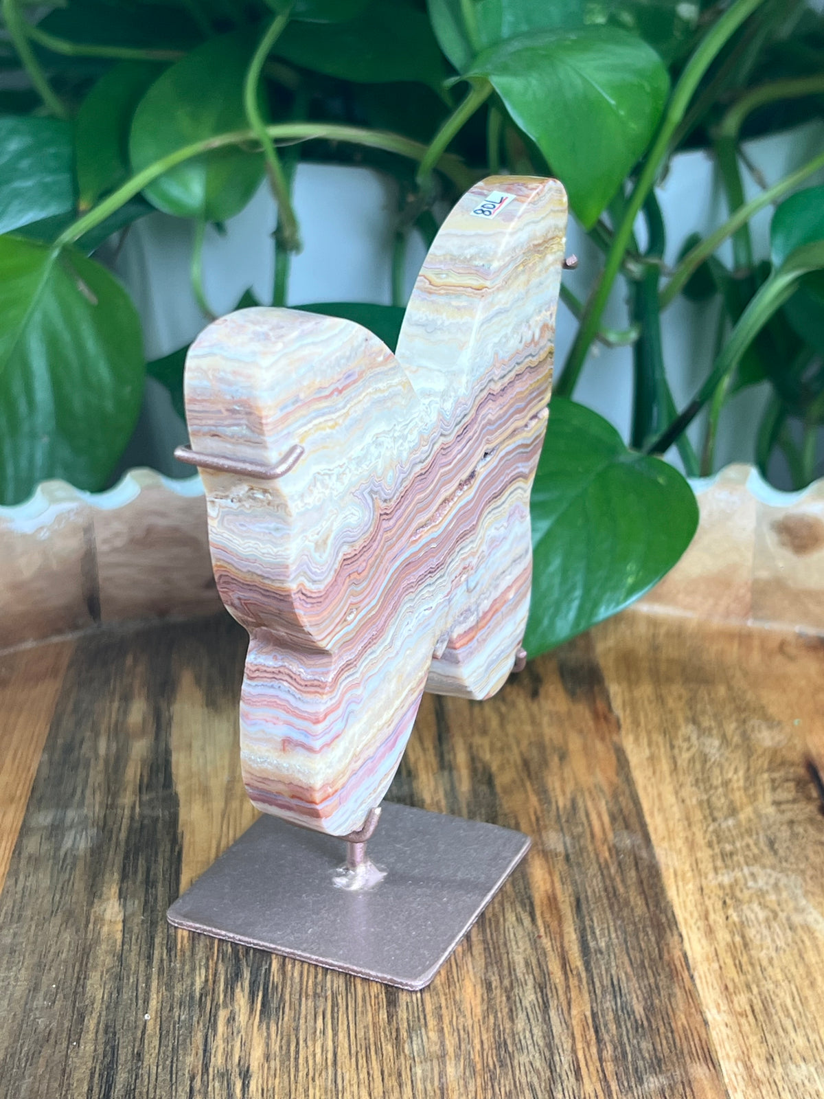 Crazy Lace Agate Butterfly: L