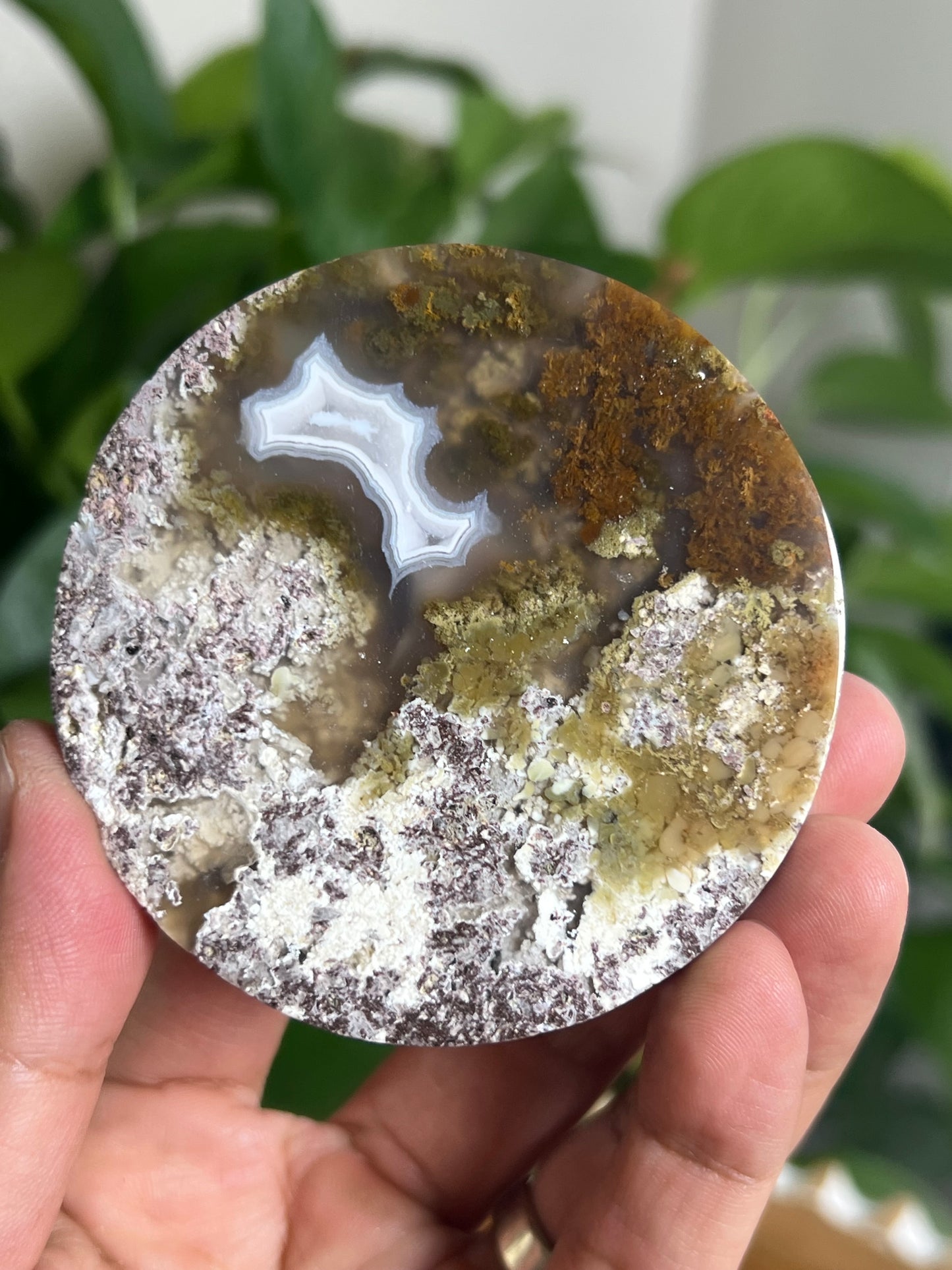 Scenic Moss Agate Coaster: AA