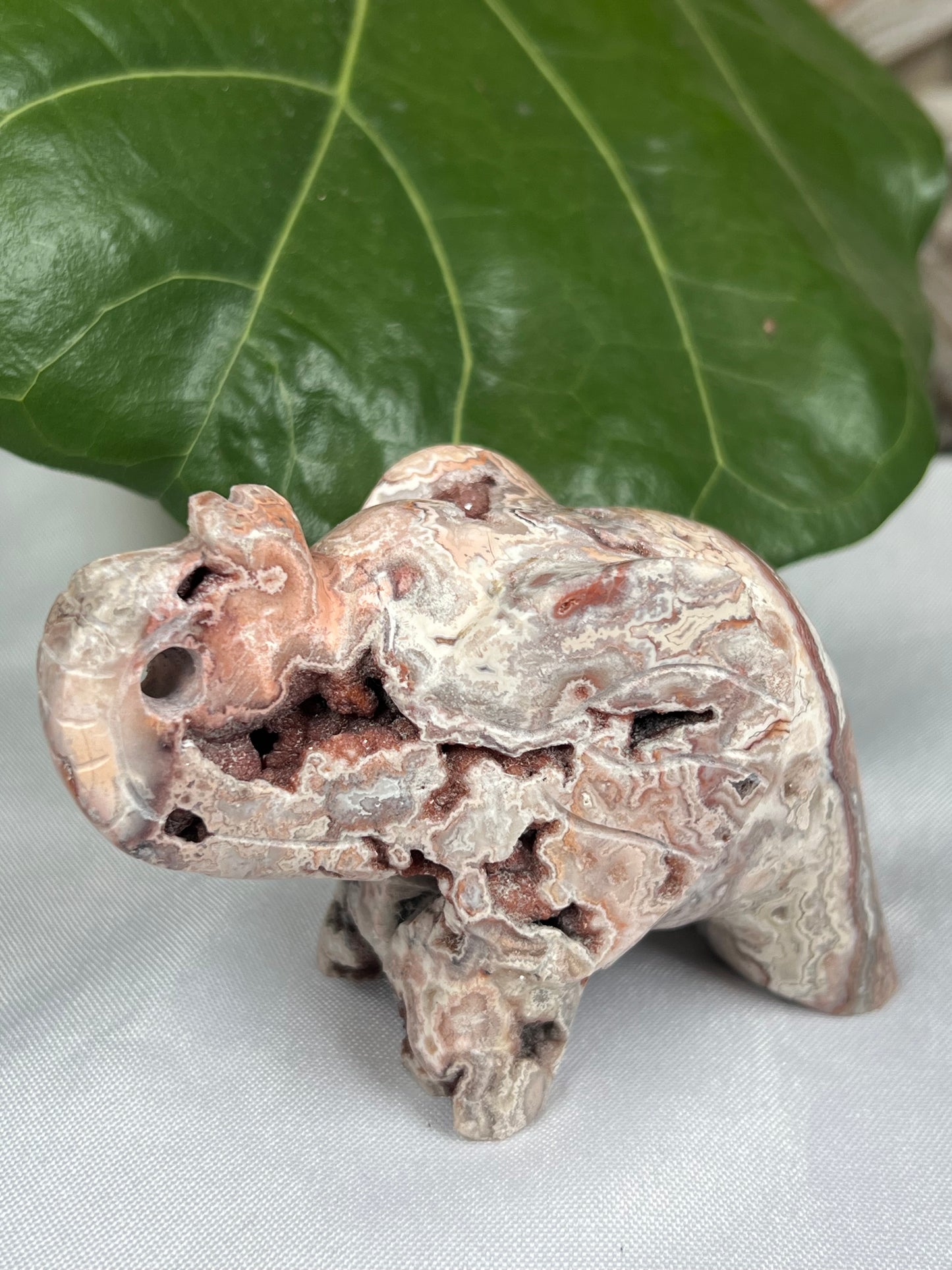 Crazy Lace Agate Elephant