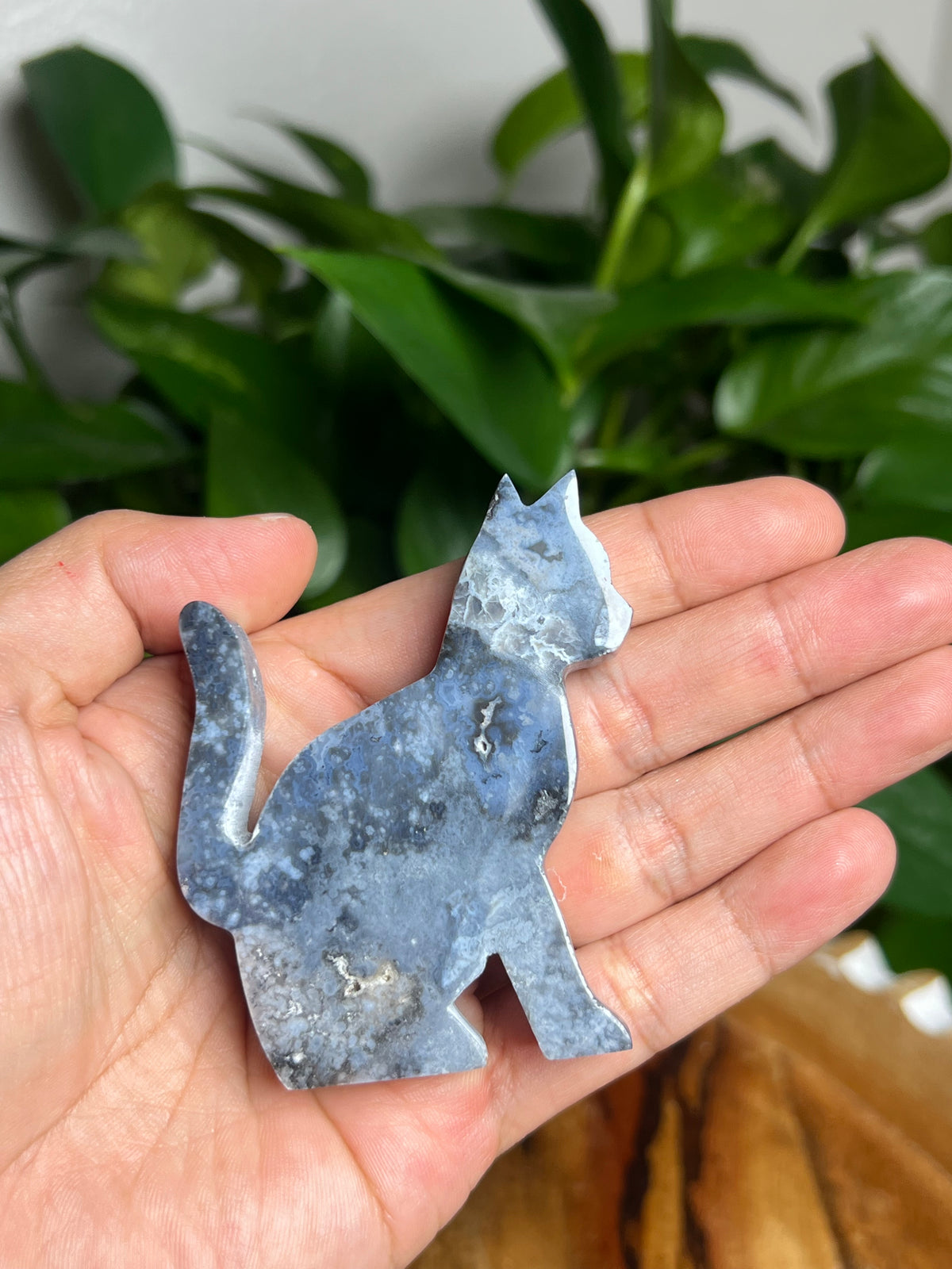 Blue Plume Agate Cat: LB