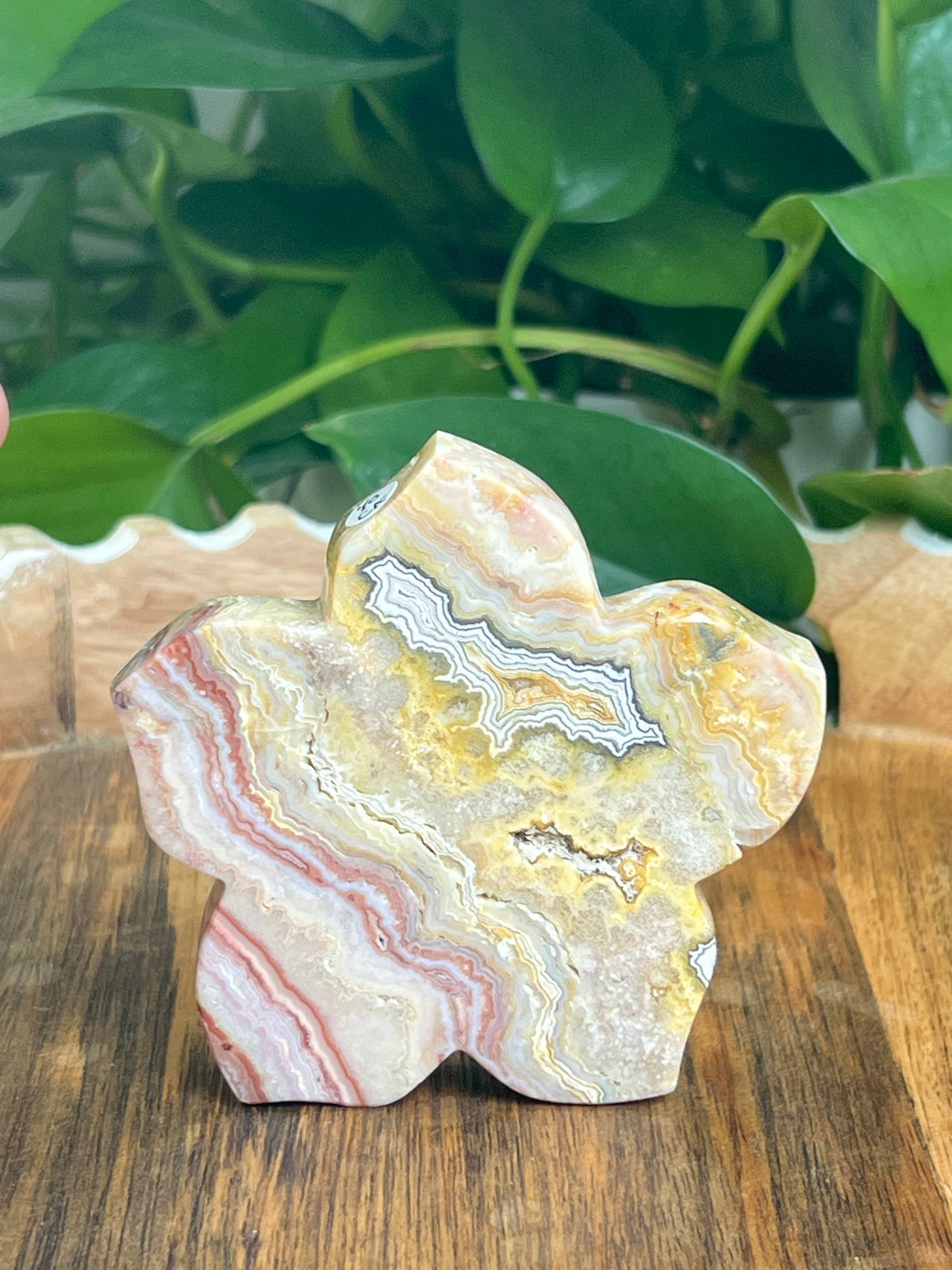 Crazy Lace Agate Flower: CK