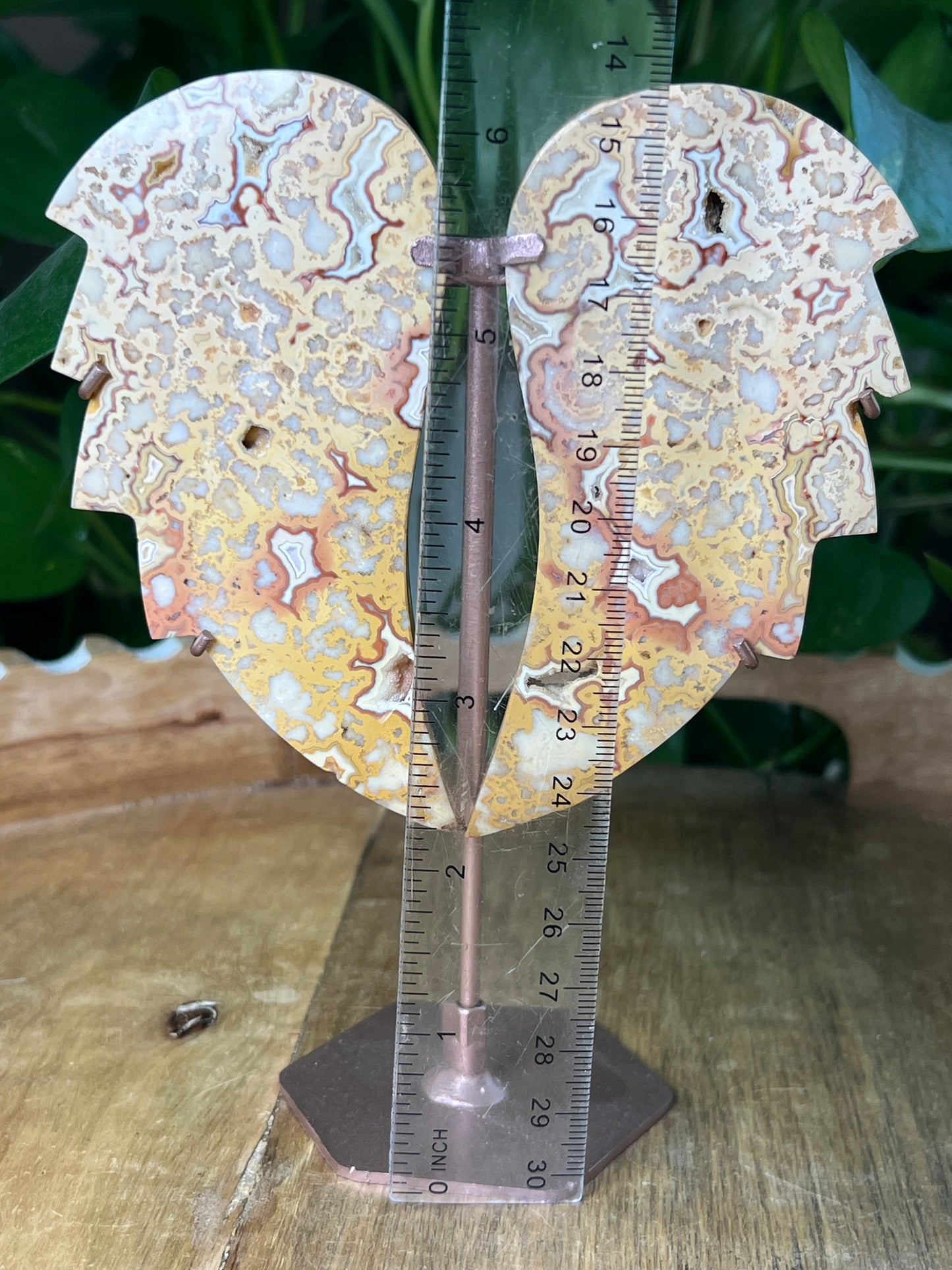 Crazy Lace Agate Wings