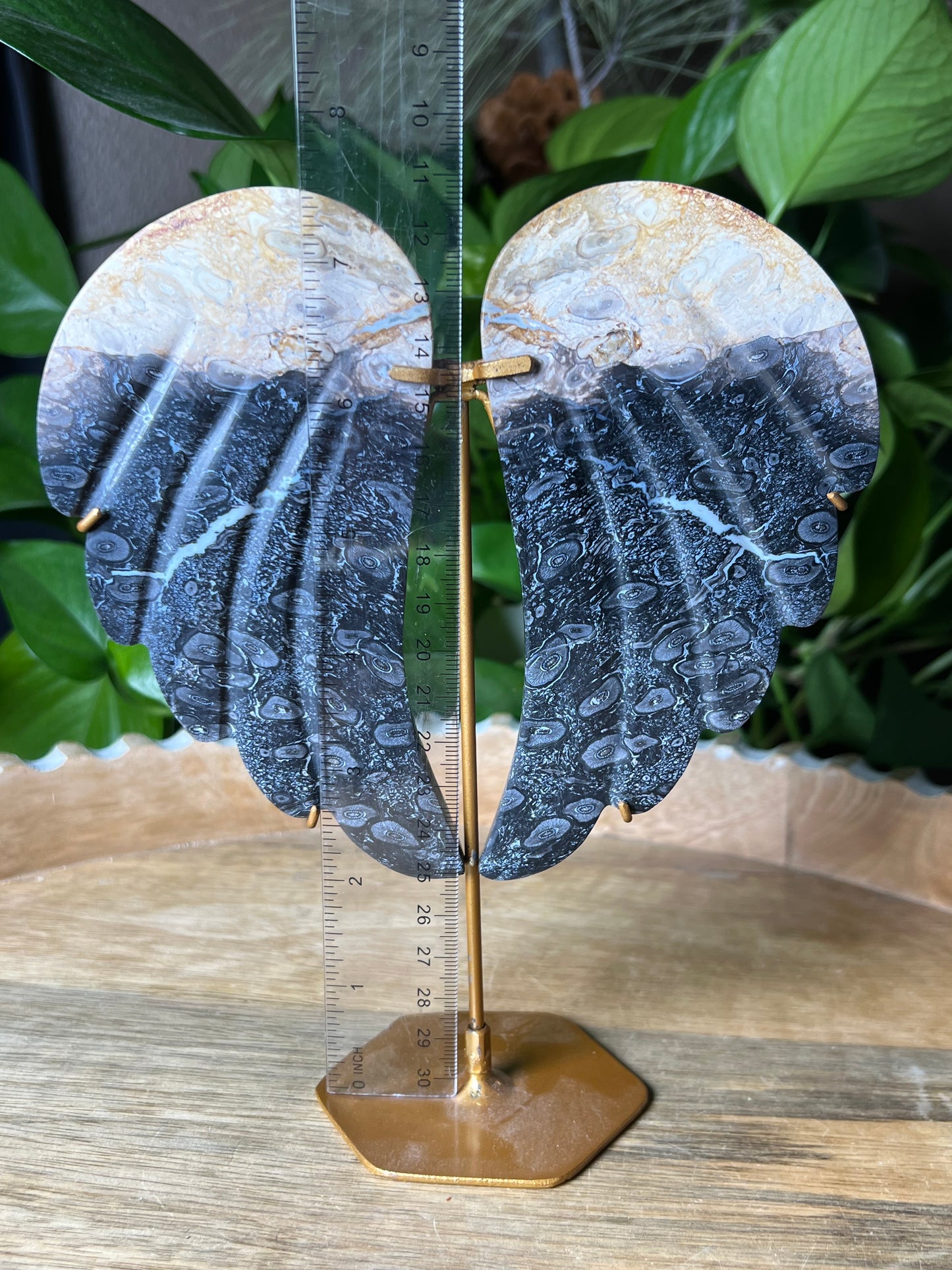 Palm Root Wings