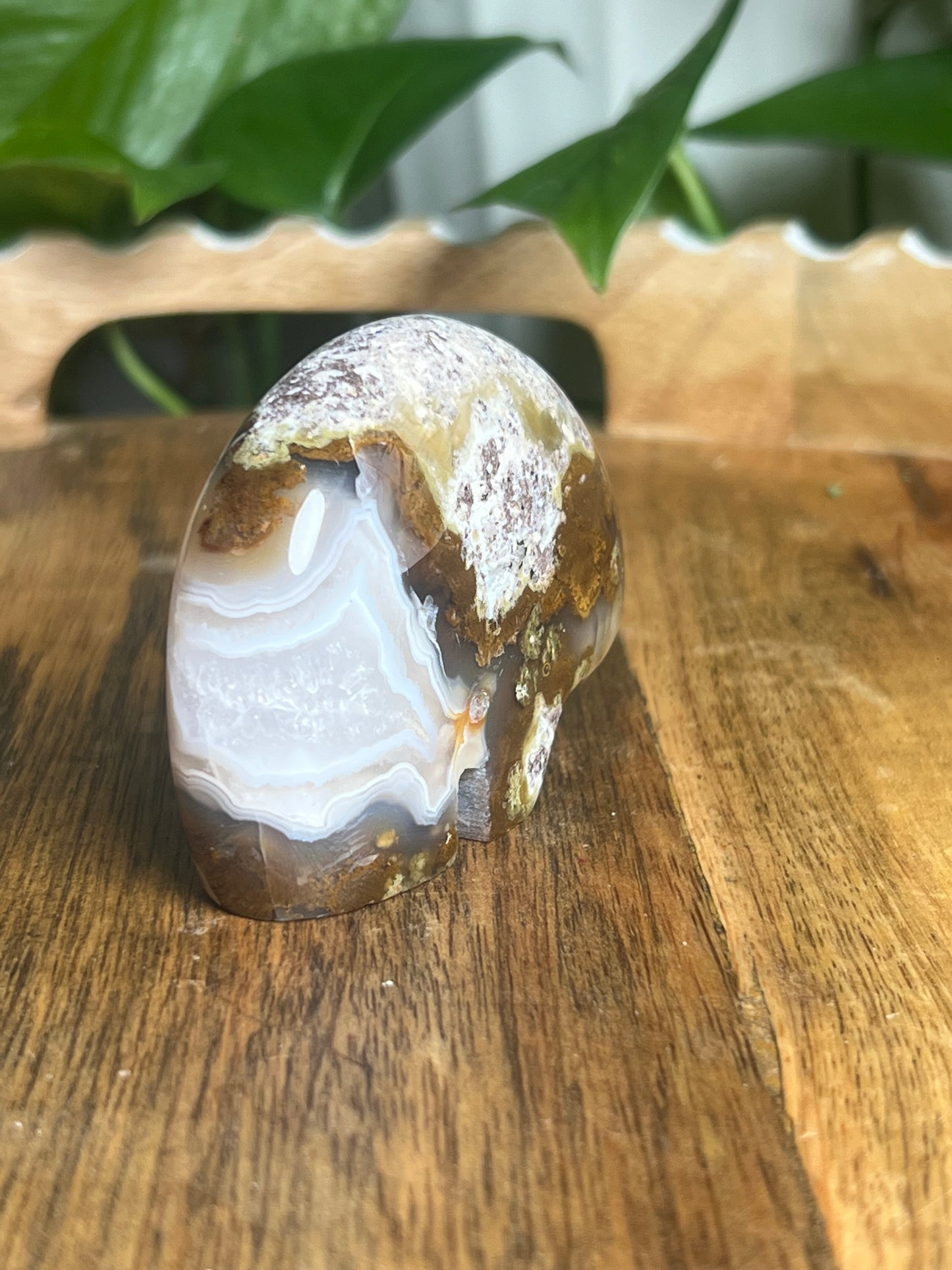 Scenic Moss Agate Bear BK