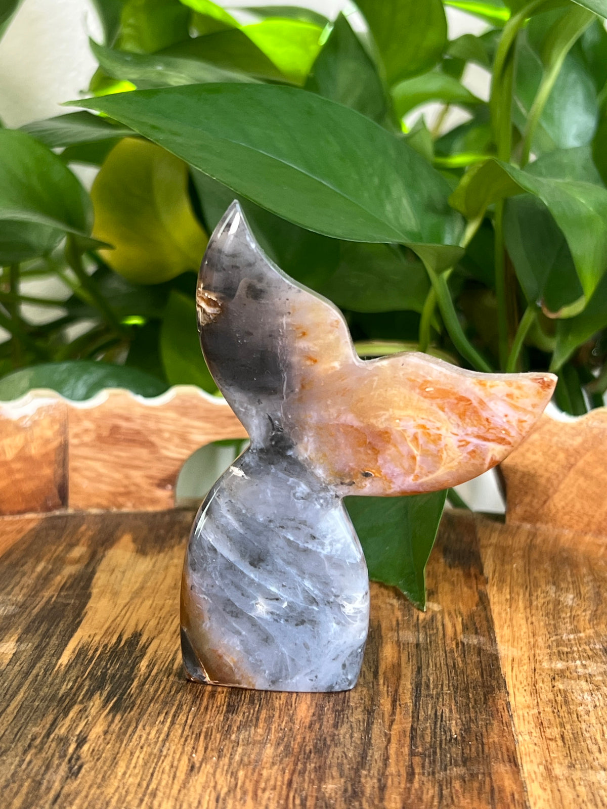 River Jasper Tails