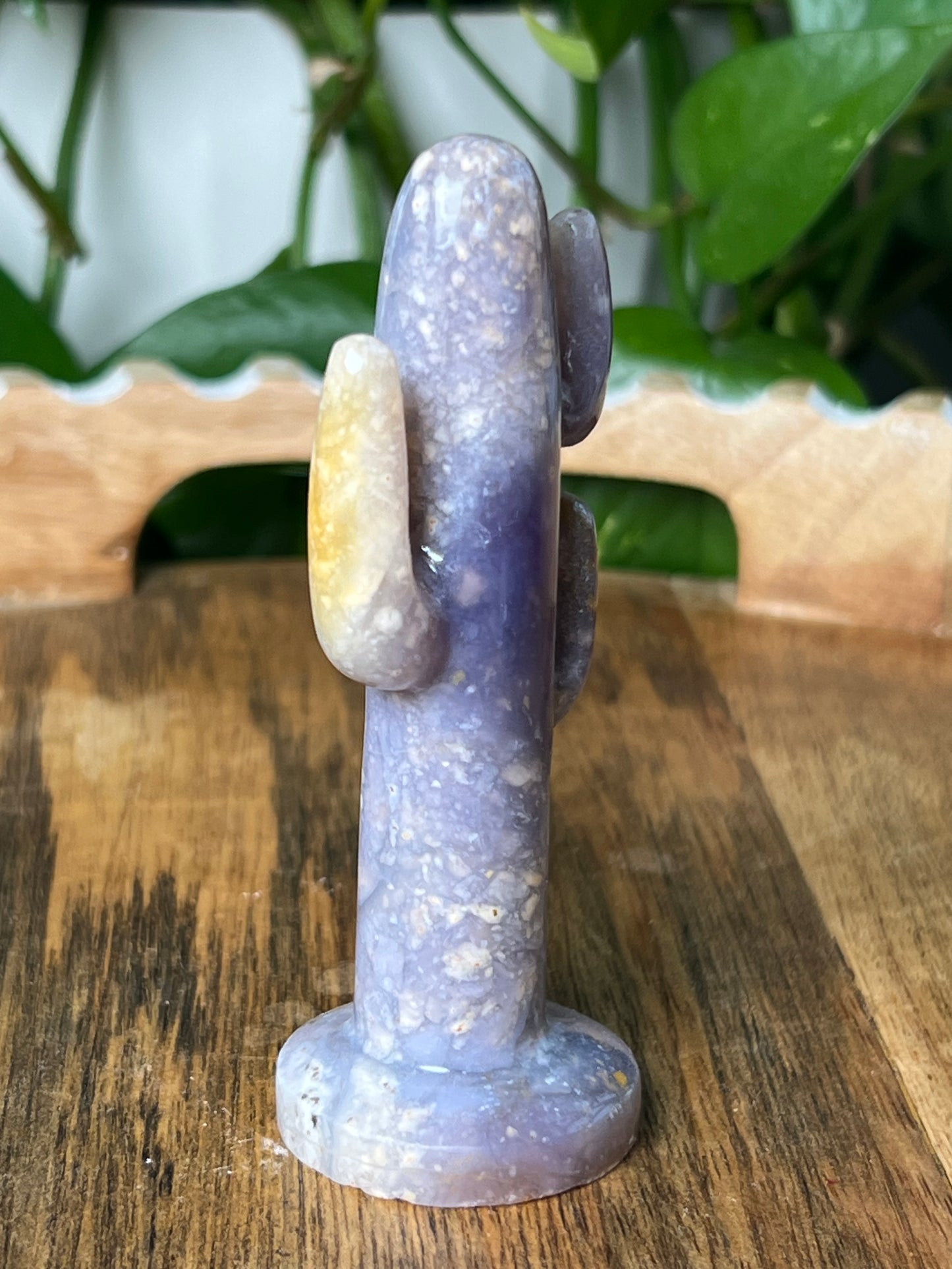 Purple Chalcedony Cactus
