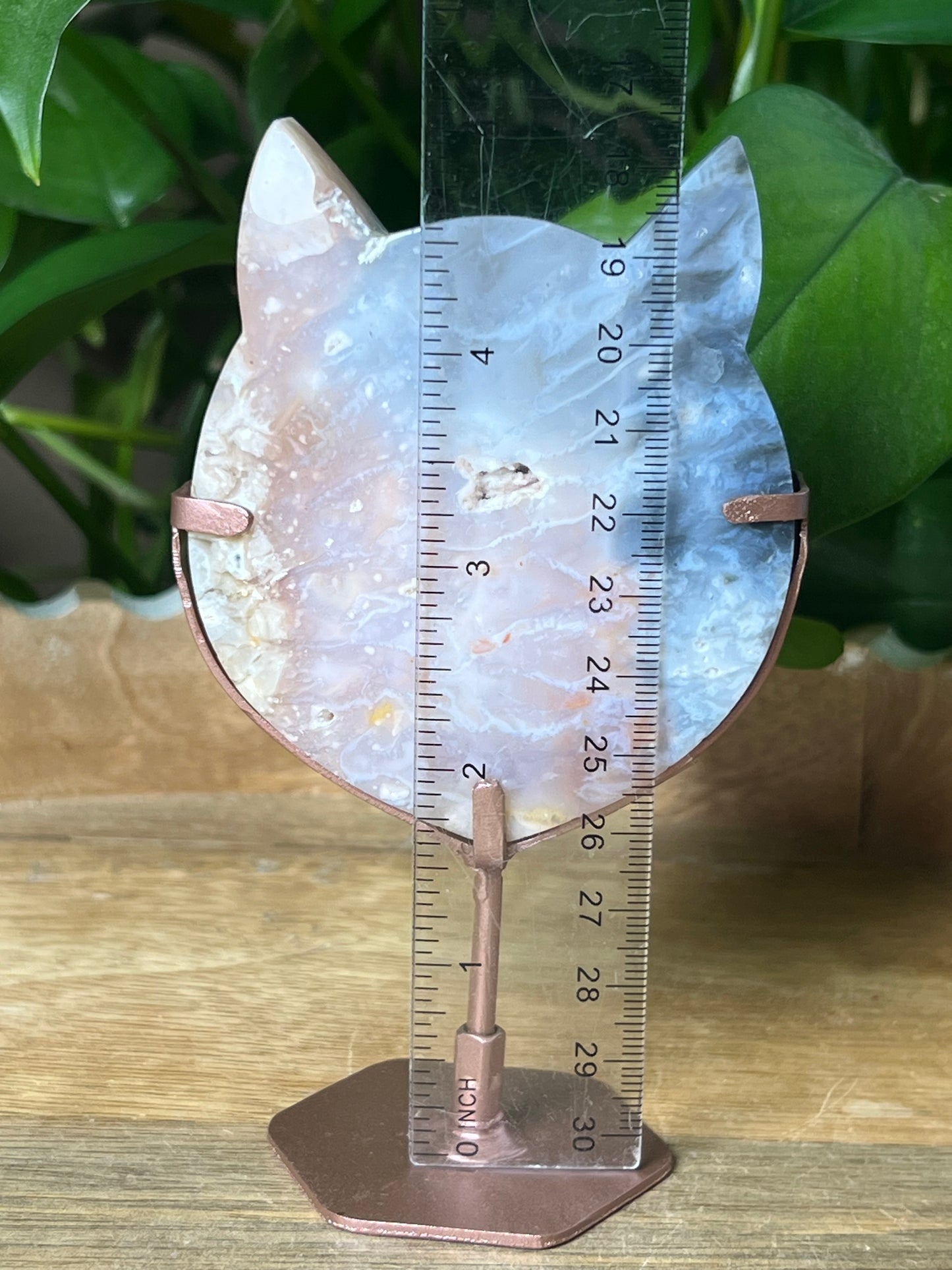Rainbow Plume Agate Cat Head