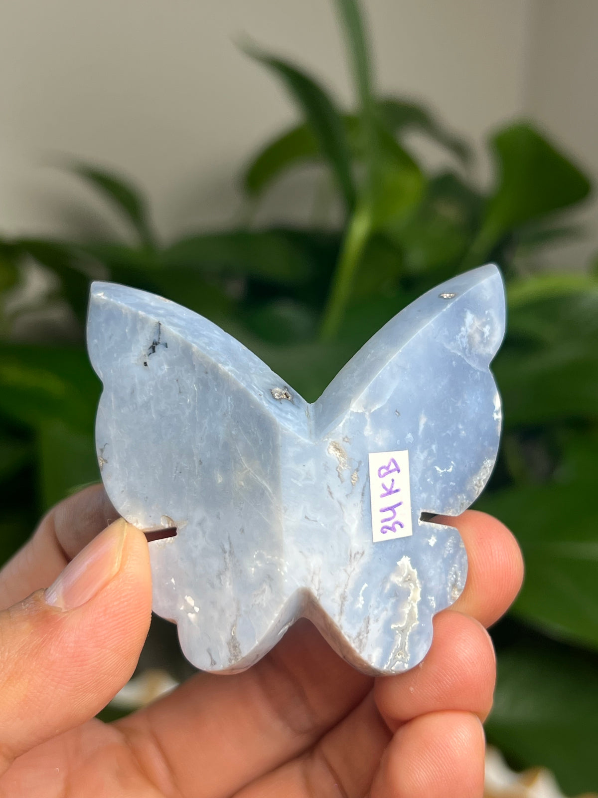 Blue Plume Agate 3D Butterfly: KB
