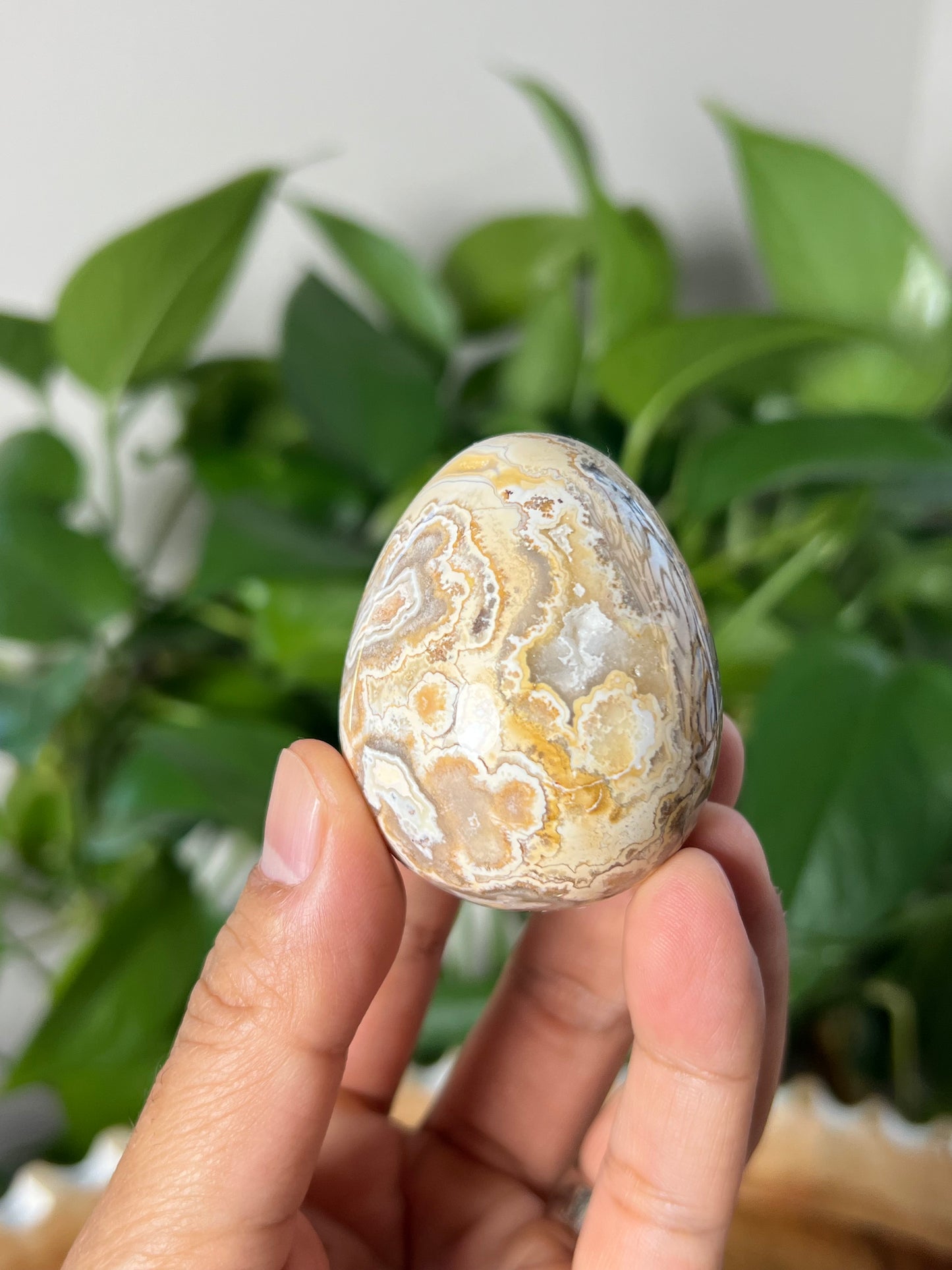 Crazy Lace Agate Egg