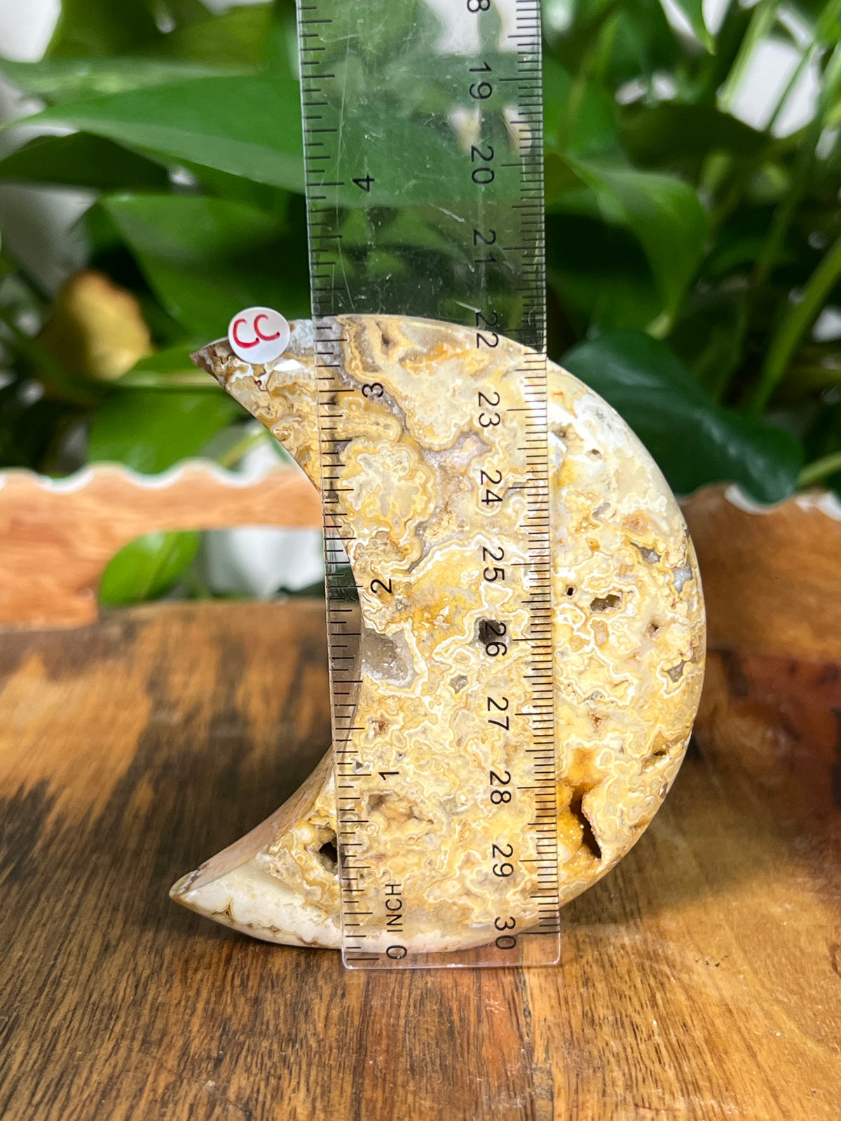 Yellow Crazy Lace Agate Self Standing Moons
