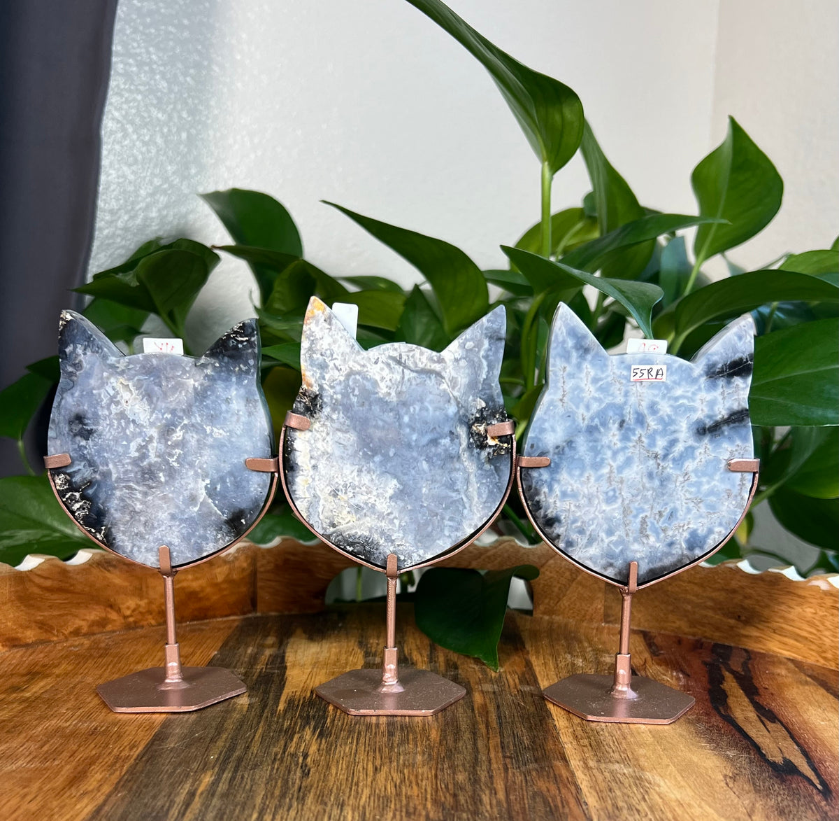 Blue Plume Agate Cat Heads