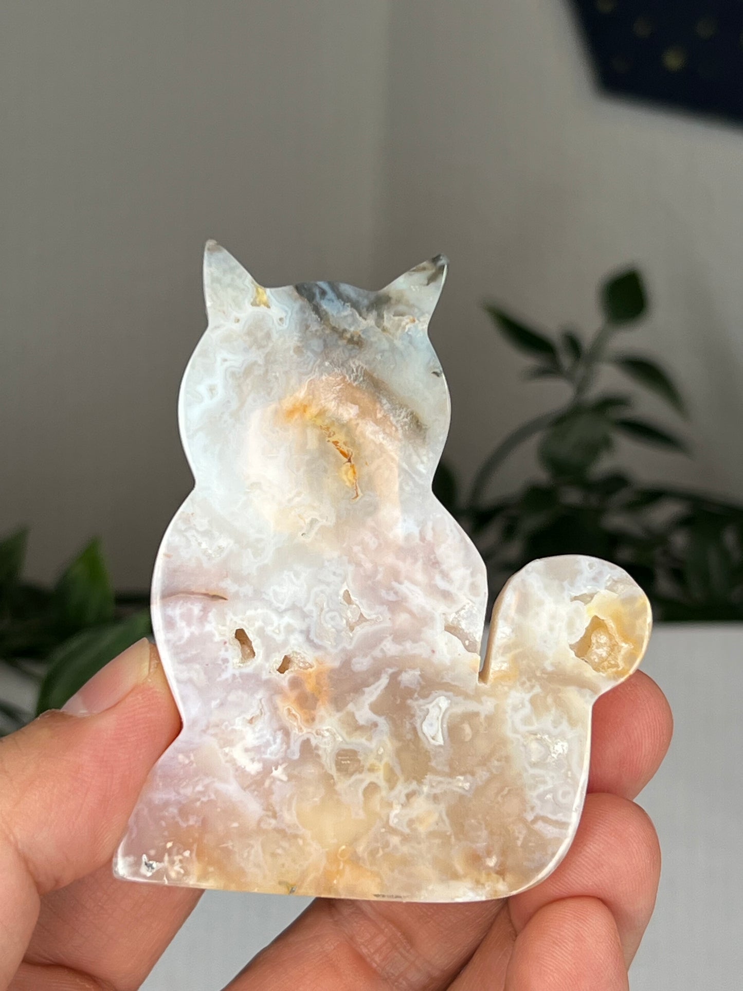 Rainbow Plume Agate Cat