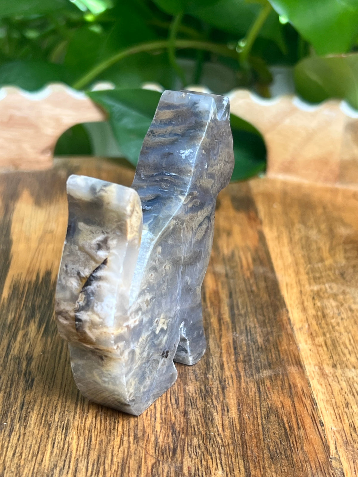 Dendritic Tiger Agate Cat: BB