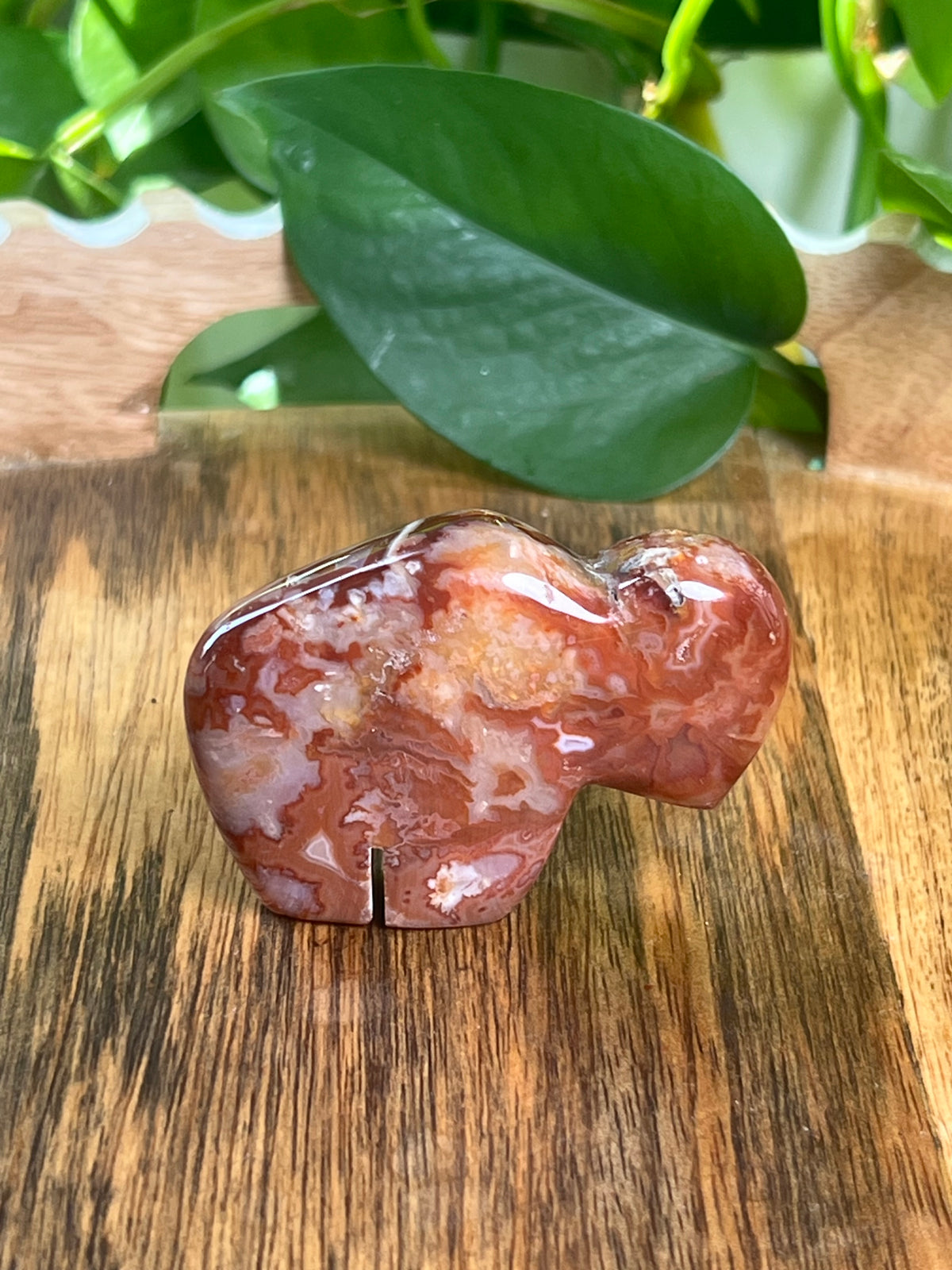 Carnelian Mini Buffalo: Bi