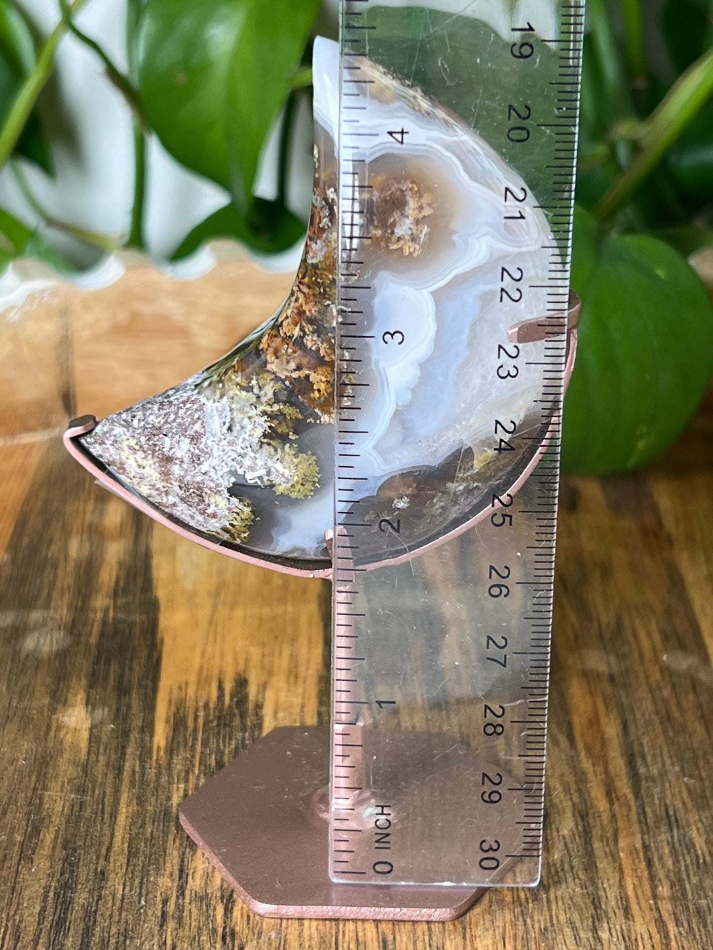 Scenic Moss Agate Moon