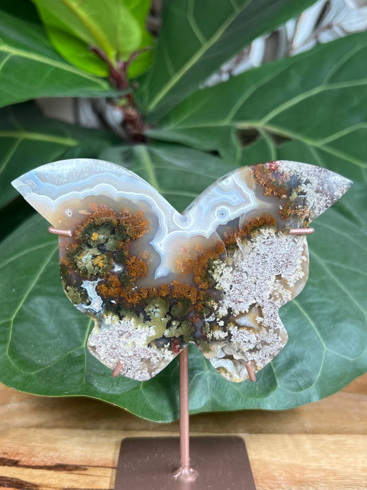 Scenic Moss Agate Butterfly