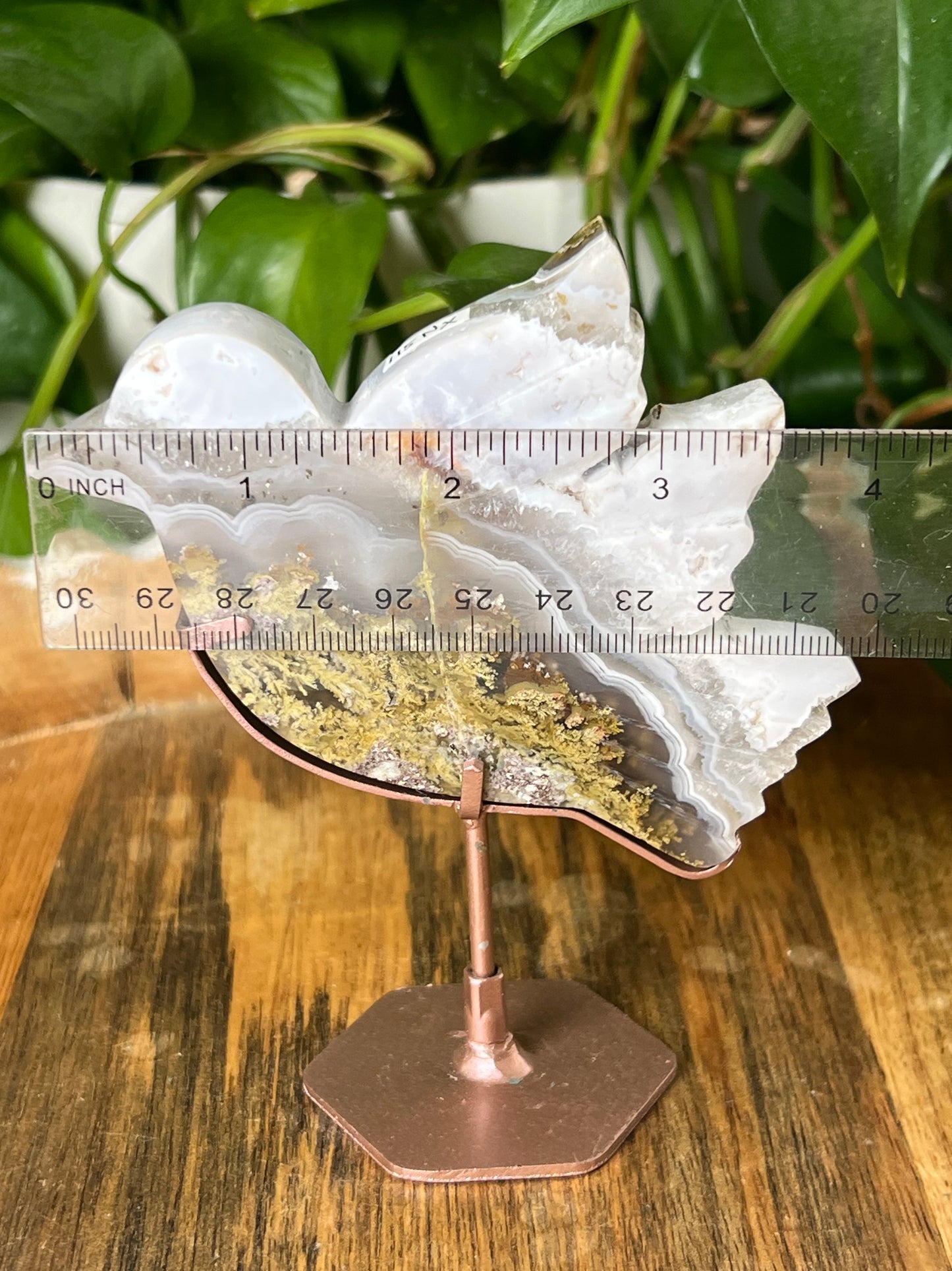 Scenic Moss Agate Bird