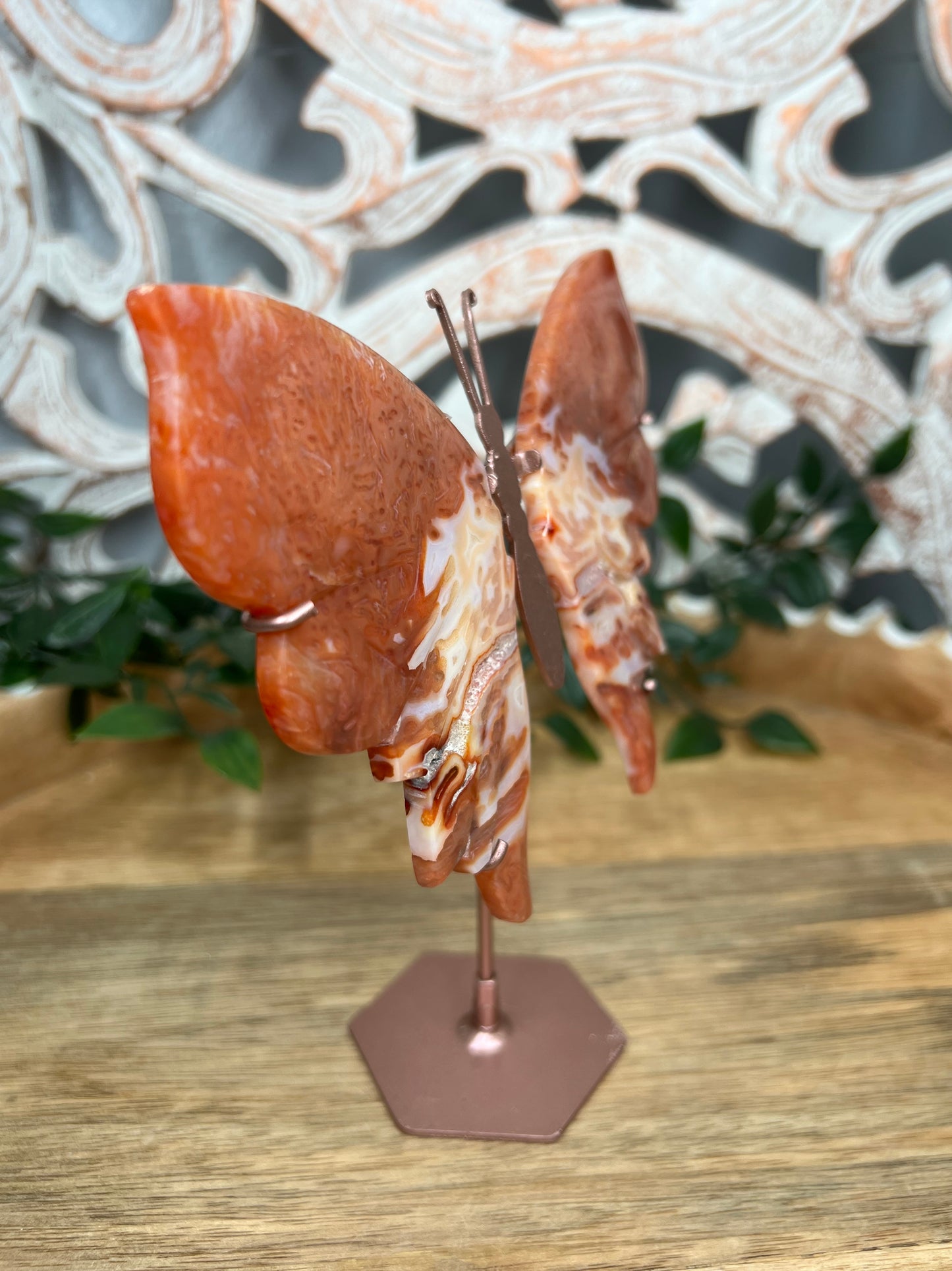 Carnelian Wings