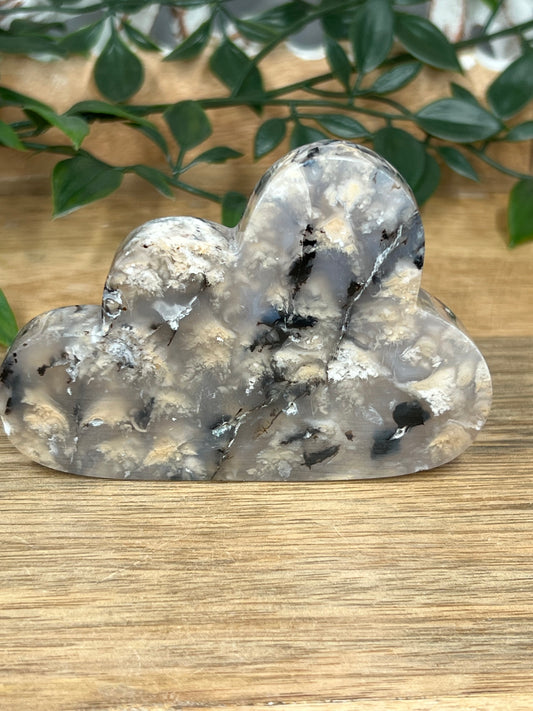 Dendritic Tiger Agate Cloud