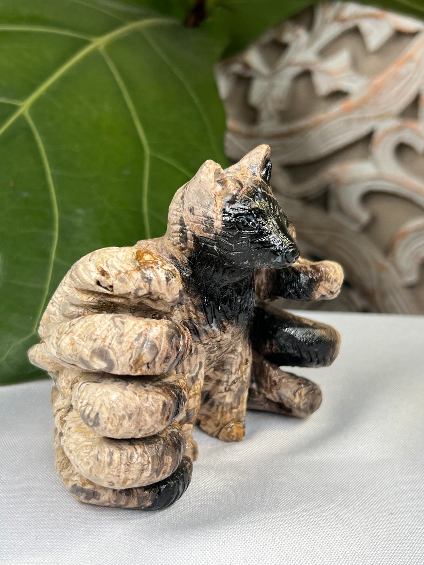 Palm Root 9 tails Fox