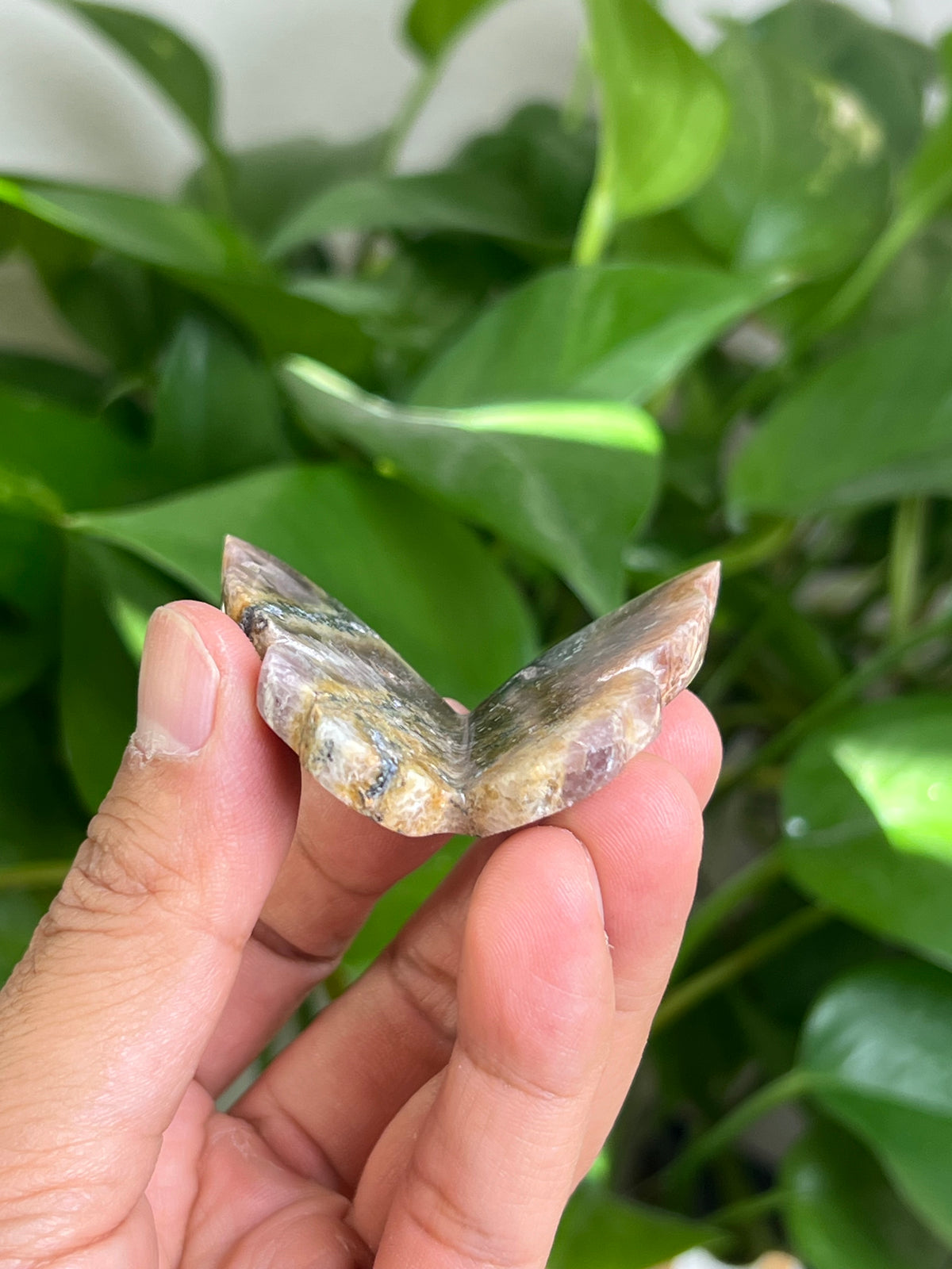 Indonesian Amethyst 3D Butterfly: B