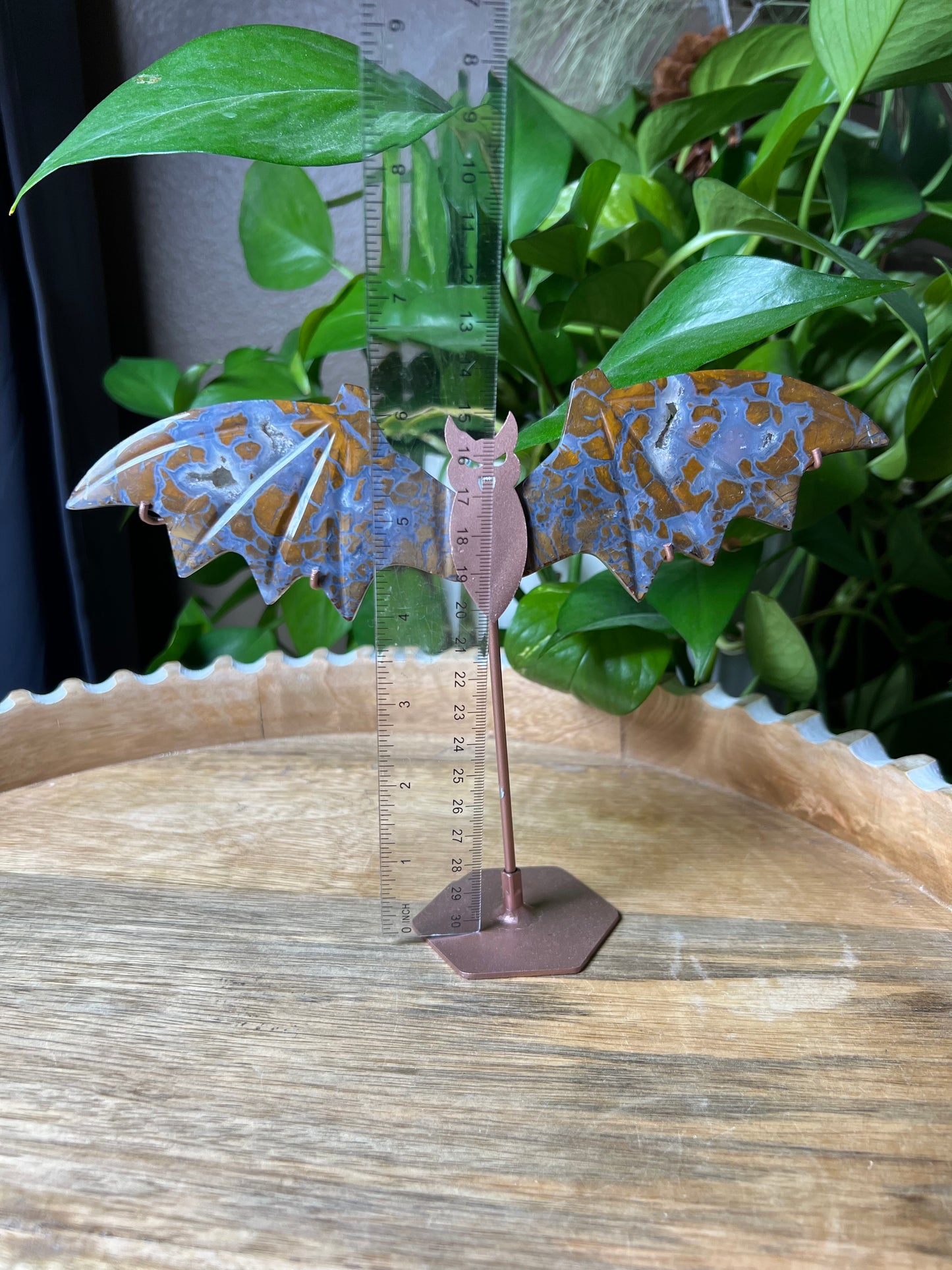 Brecciated Jasper Bat Wings