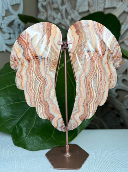 Crazy Lace Agate Wings