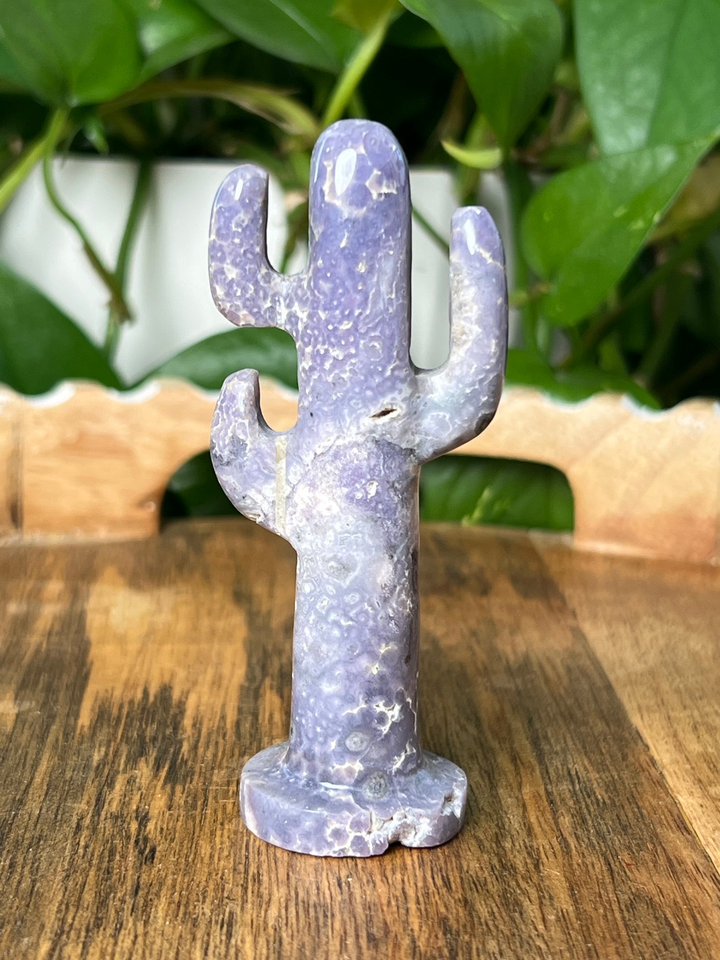 Grape Agate Cactus