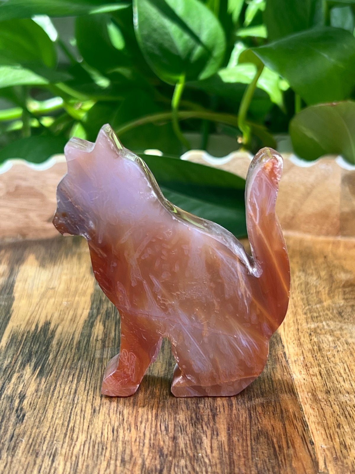 Carnelian Cat: PK