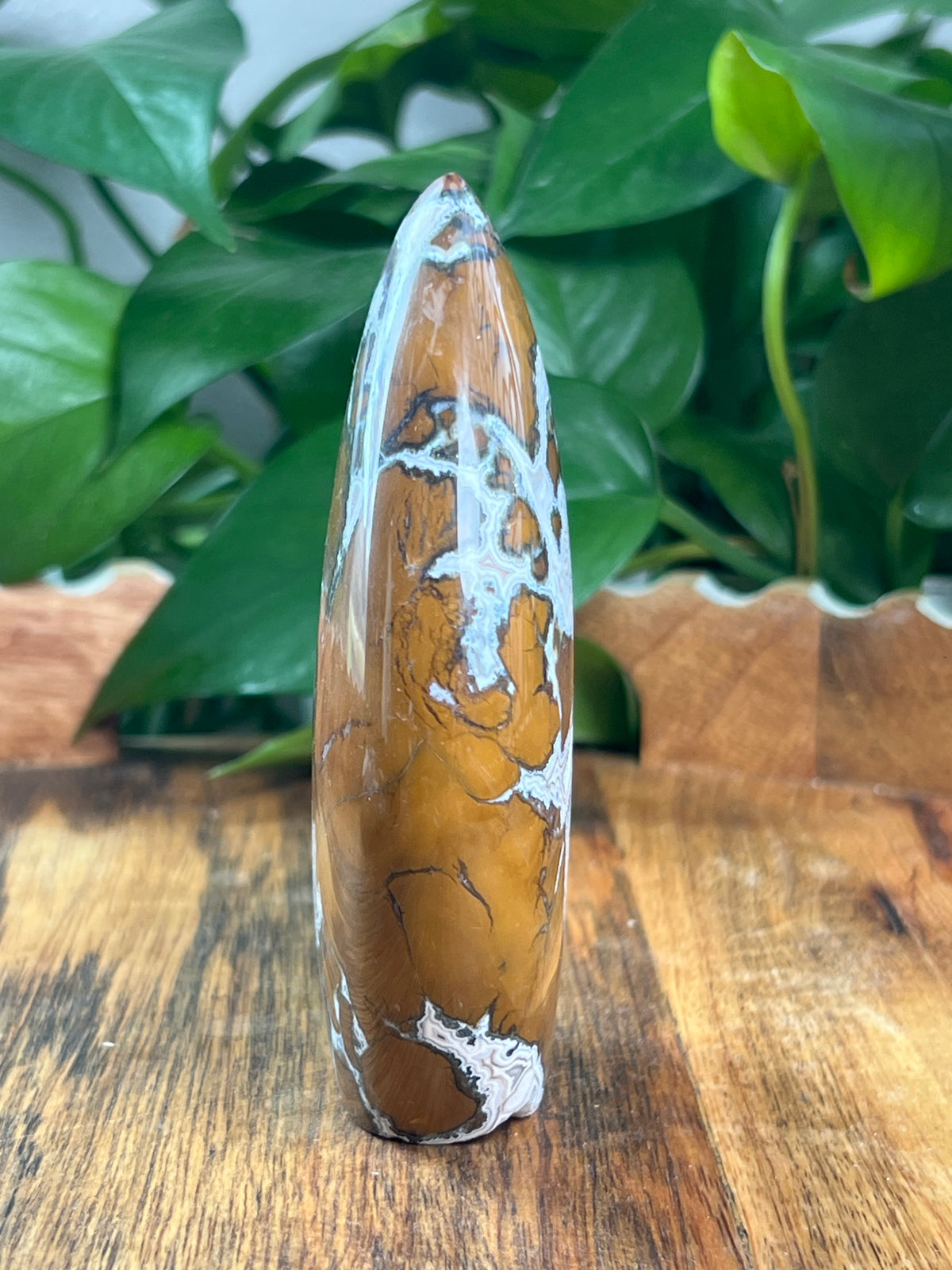 Brecciated Jasper Flame: C