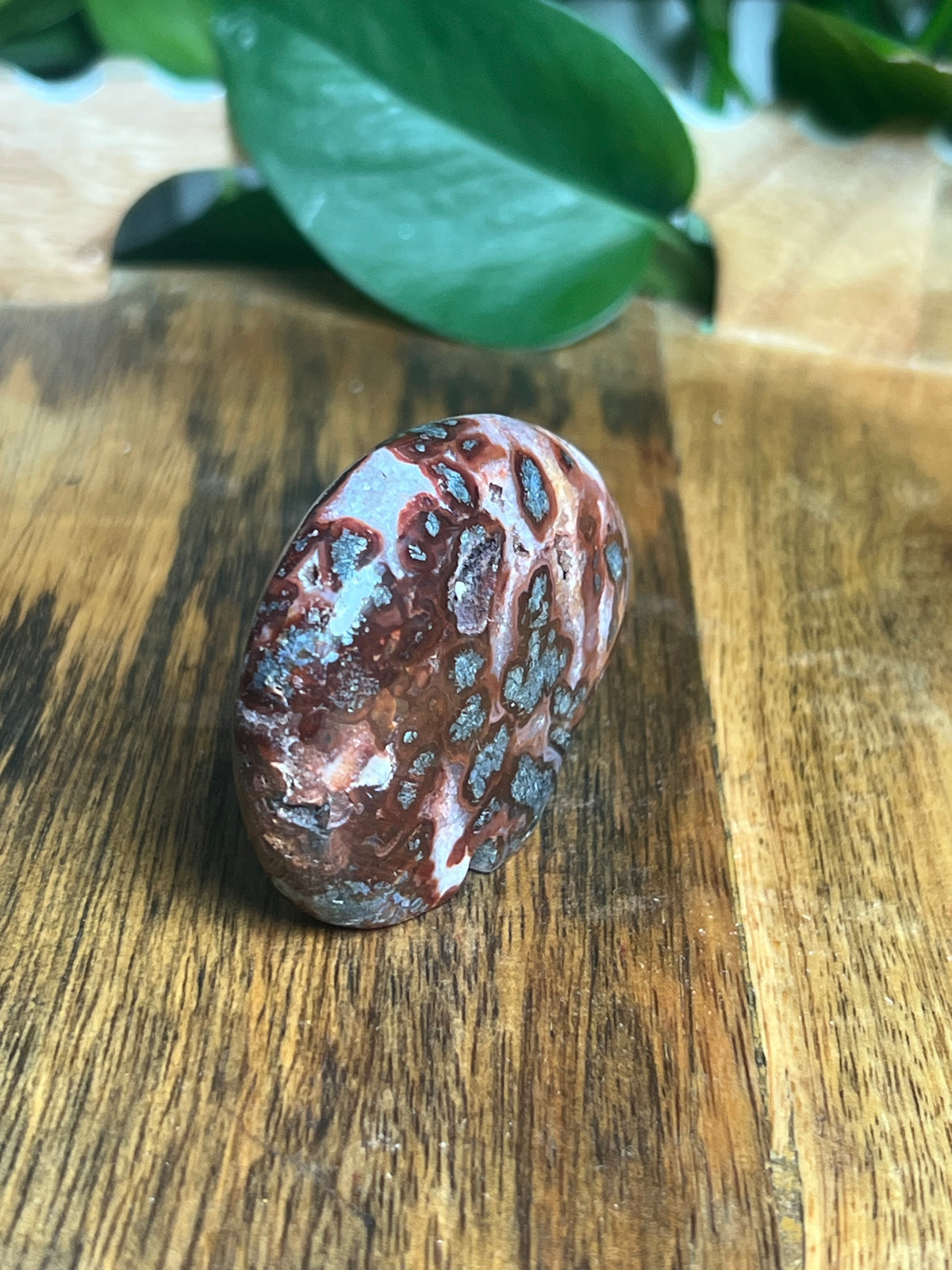 Marcasite Mini Bear: RD