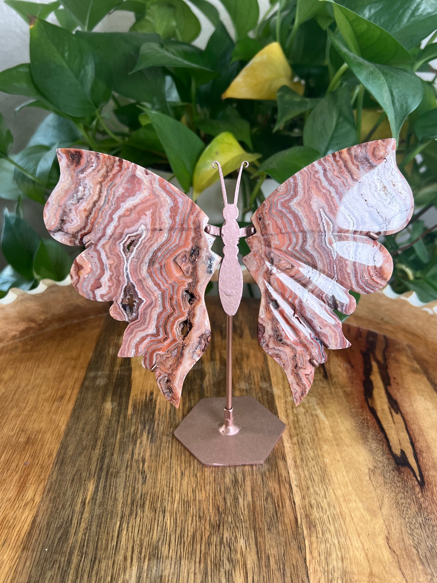 Pink Crazy Lace Agate Wings BF