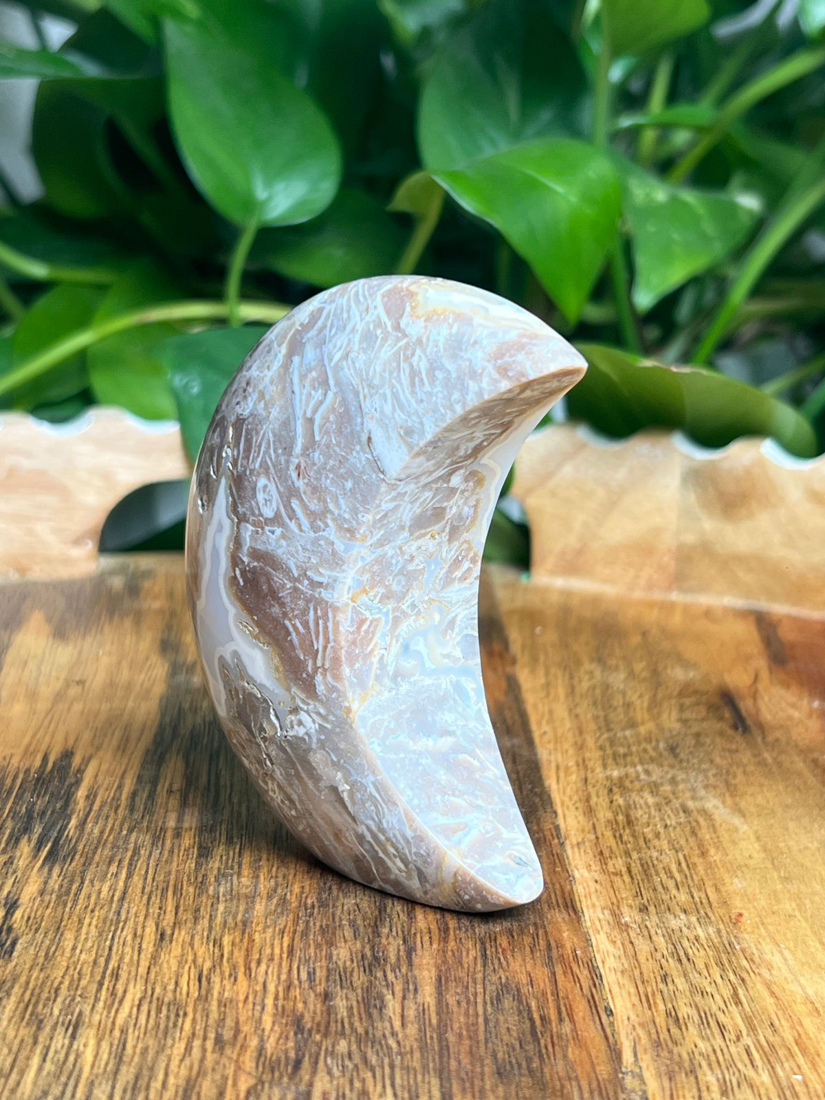Sumatra Plume Agate Self-Standing Moon: ND