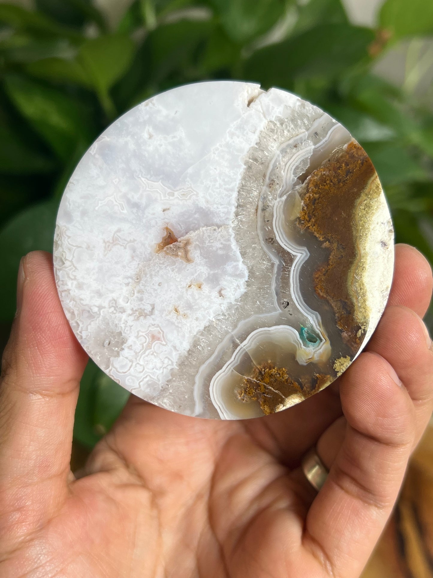 Scenic Moss Agate Coaster: AC