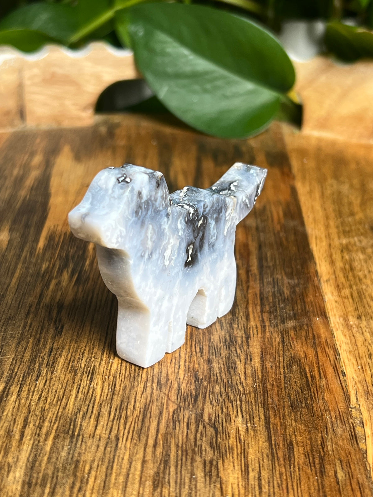 Blue Plume Agate Dog: Bi