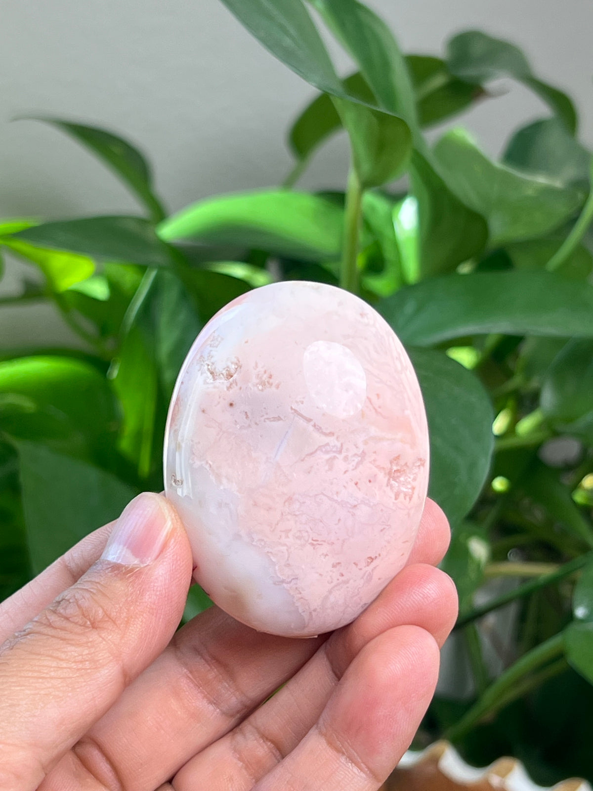Pink Carnelian Palmstone: BJ