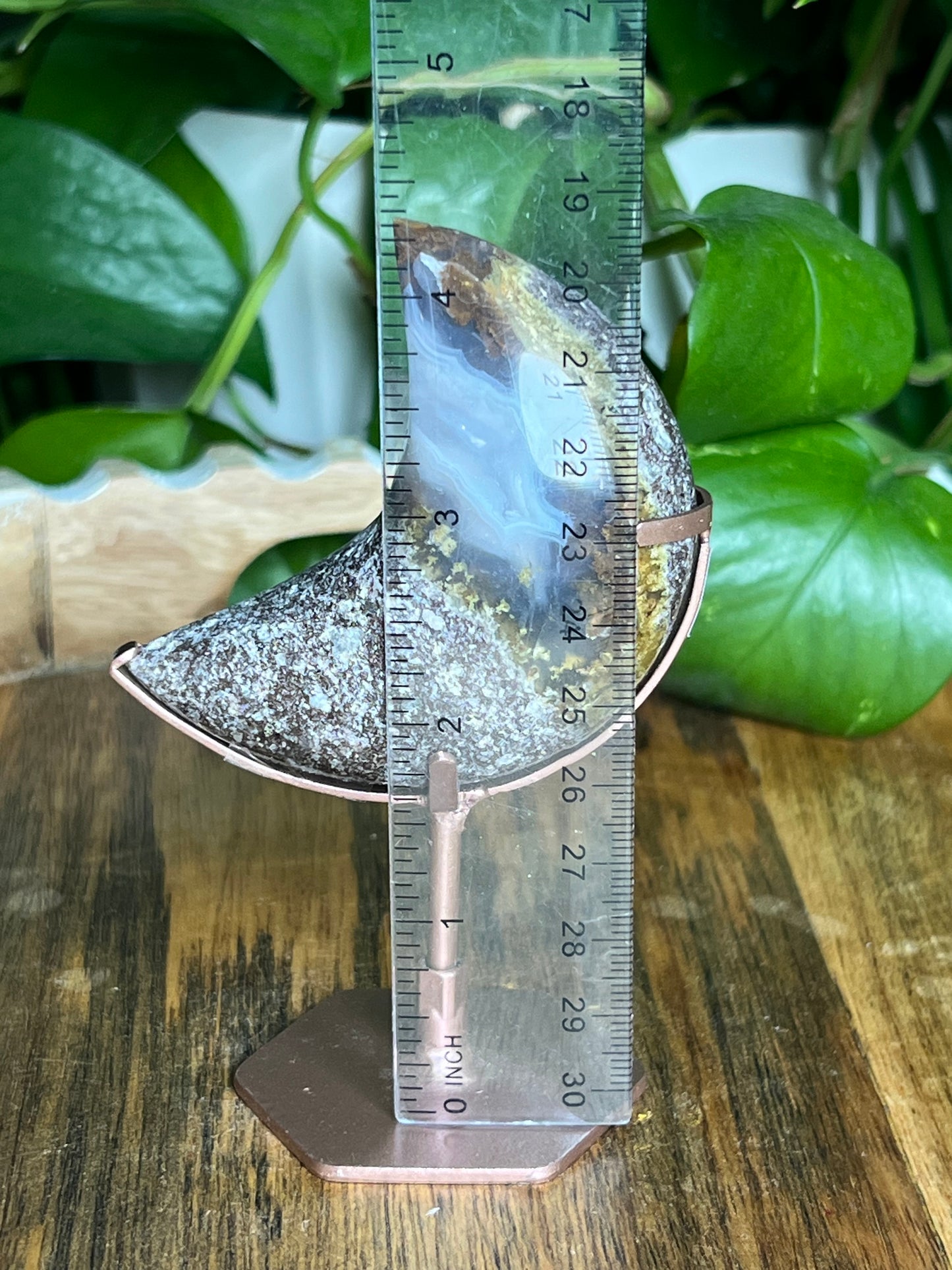 Scenic Moss Agate Moon