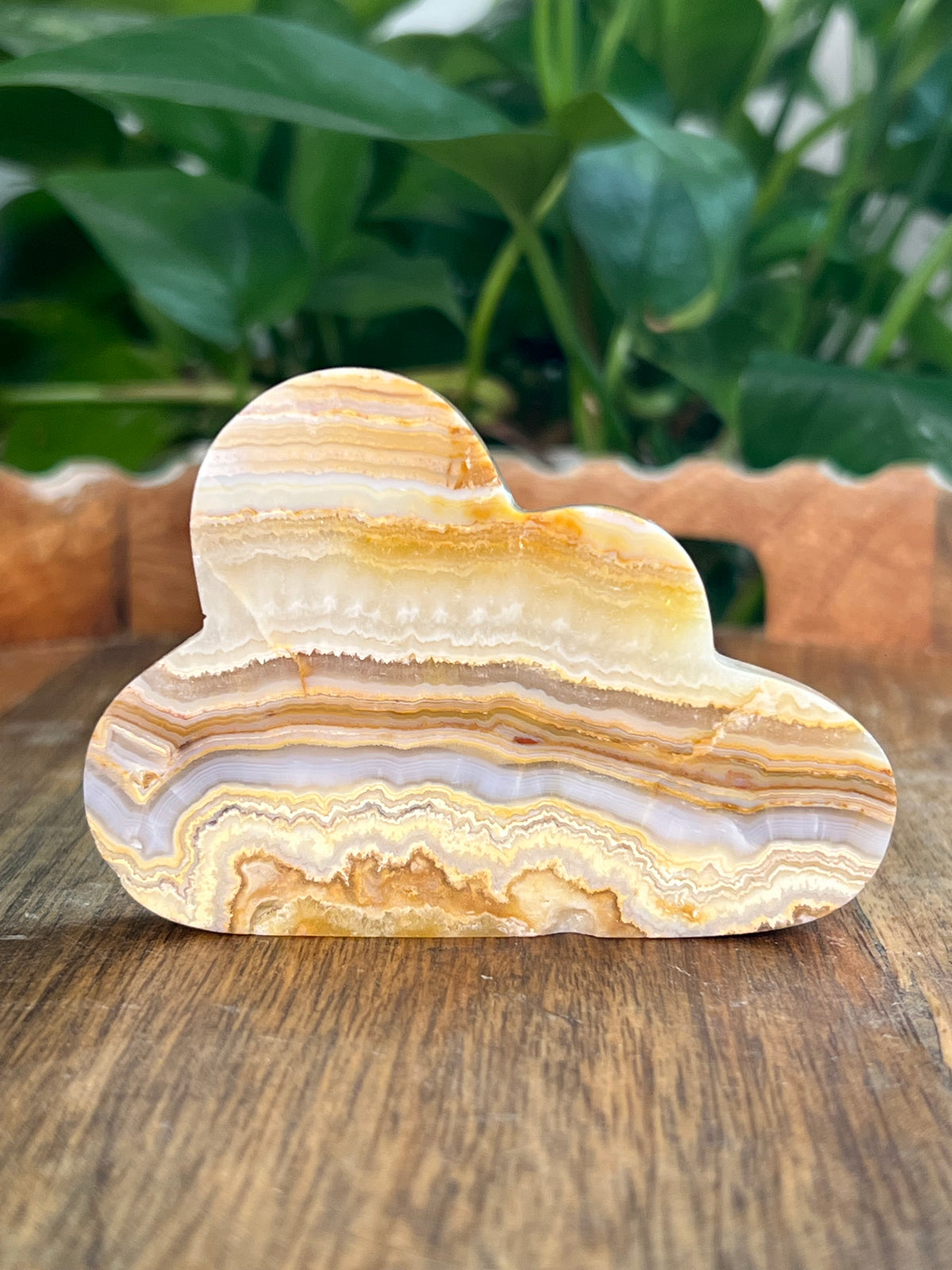 Crazy Lace Agate Clouds