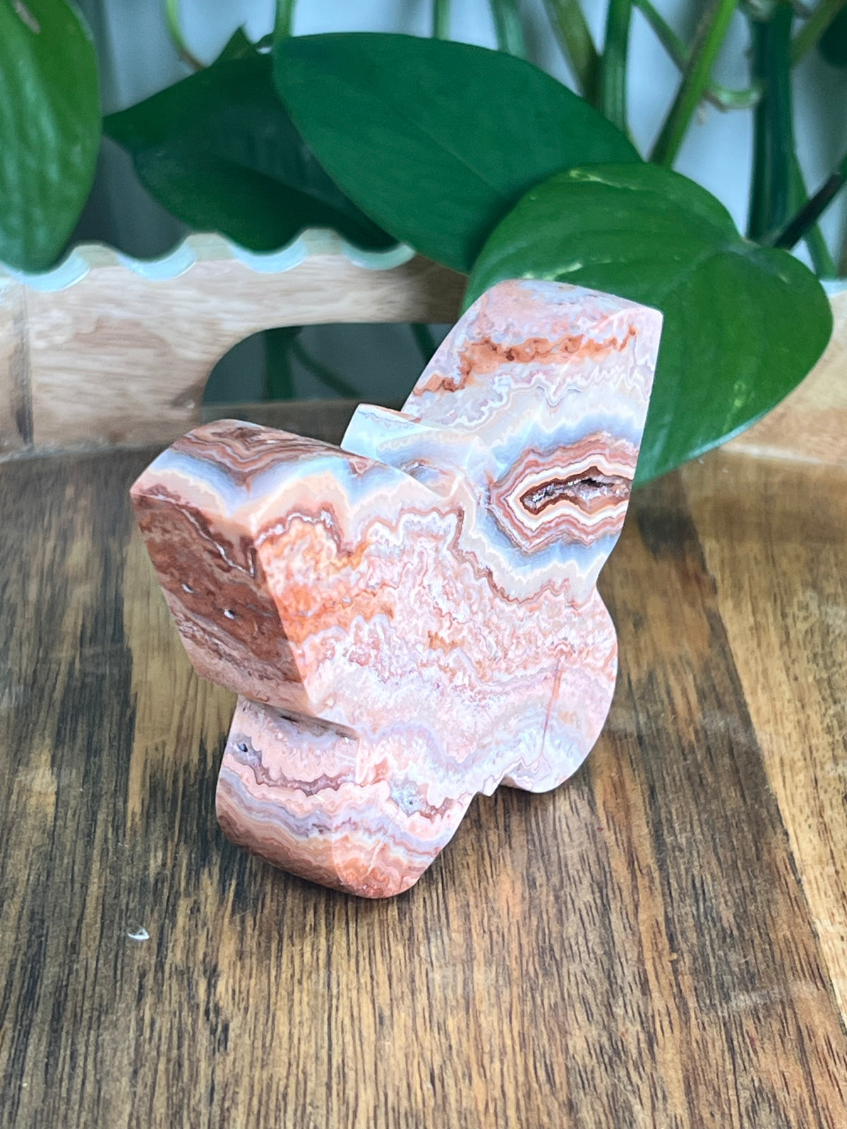 Crazy Lace Agate Butterfly: E