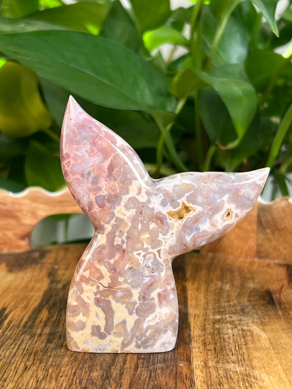 Sumatra Plume Agate Tails