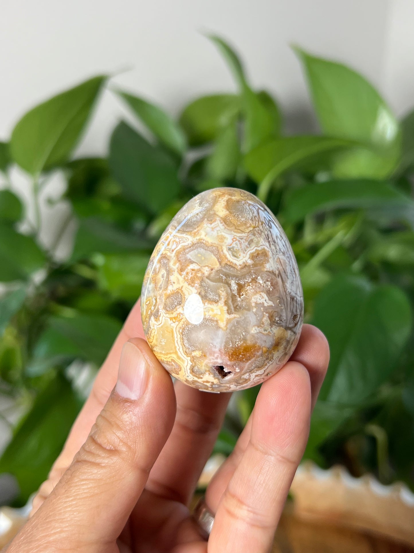 Crazy Lace Agate Egg