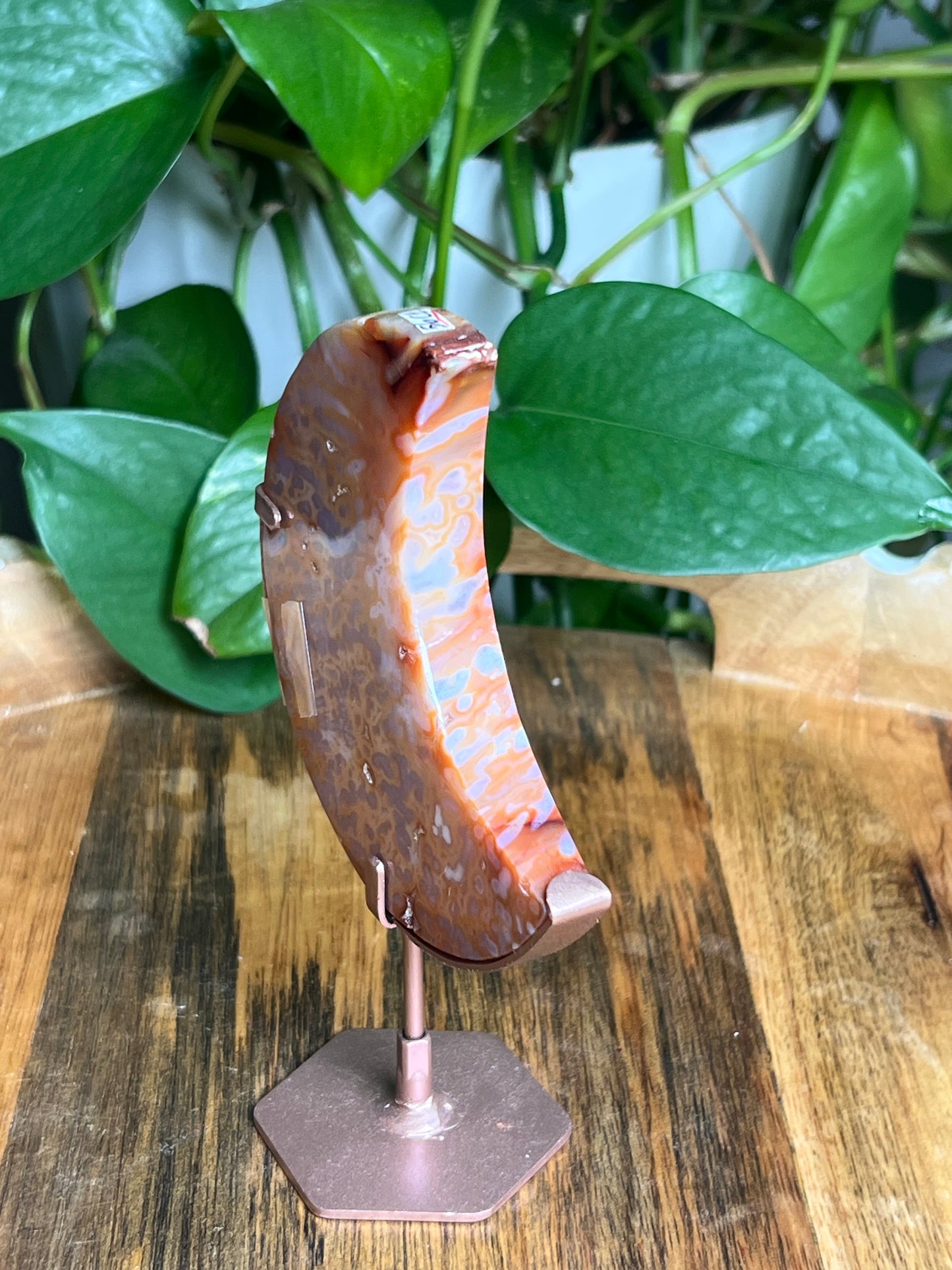 Carnelian Moon: CE