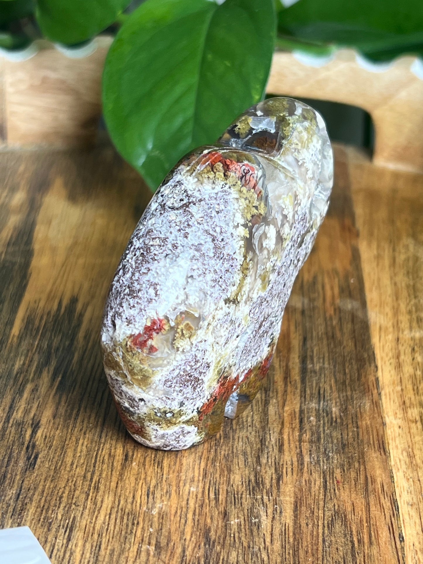 Scenic Moss Agate Buffalo NA
